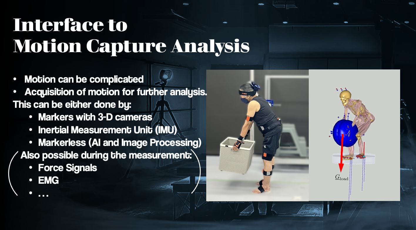 เอ็มเทค สวทช. พัฒนา ‘XOMoCap’ แพลตฟอร์ม Motion Capture Analysis เพื่อวิเคราะห์การเคลื่อนไหว มุ่งตอบโจทย์วิจัยและออกแบบ ‘ชุดเสริมแรง-ลดบาดเจ็บ’ ผู้สูงอายุและผู้ดูแล (XOMoCap – a numerical platform for motion capture analysis, a key tool in exoskeleton research, developed by MTEC, NSTDA.)