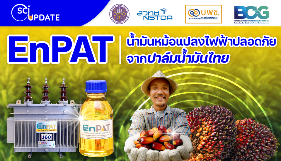 EnPAT นวัตกรรมน้ำมันหม้อแปลงไฟฟ้าปลอดภัยจากปาล์มน้ำมันไทย เพื่อป้องกันการเกิดไฟไหม้จากหม้อแปลงไฟฟ้าระเบิด