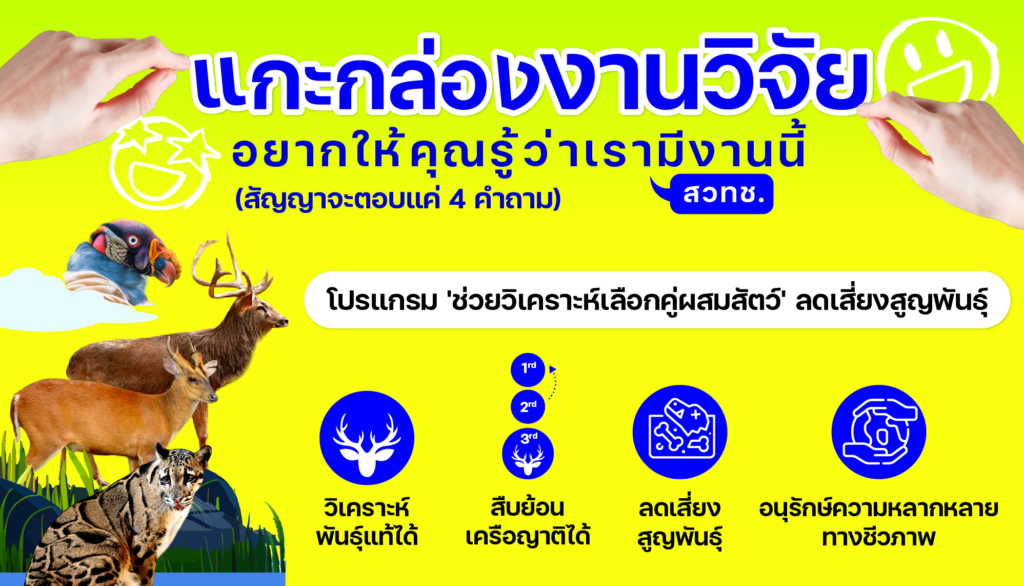 แกะกล่องงานวิจัย : โปรแกรม ‘ช่วยวิเคราะห์เลือกคู่ผสมสัตว์’ ลดเสี่ยงสูญพันธุ์