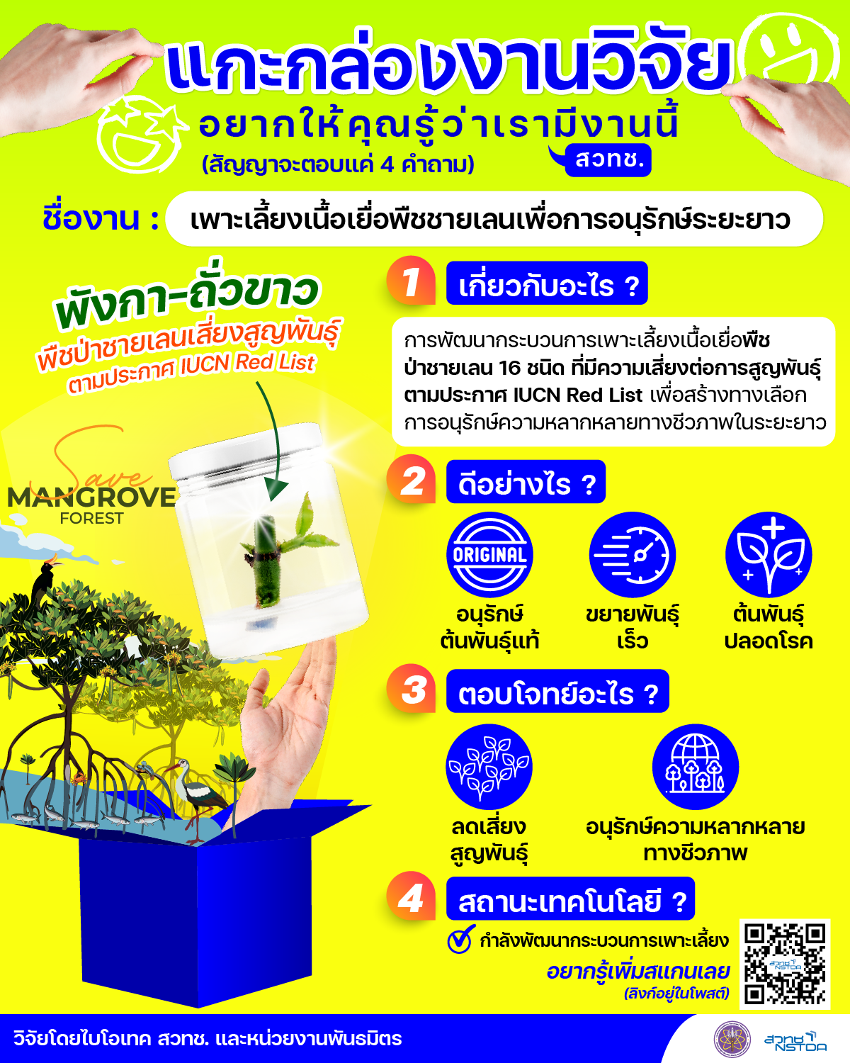 แกะกล่องงานวิจัย : เพาะเลี้ยงเนื้อเยื่อพืชชายเลนเพื่อการอนุรักษ์ระยะยาว