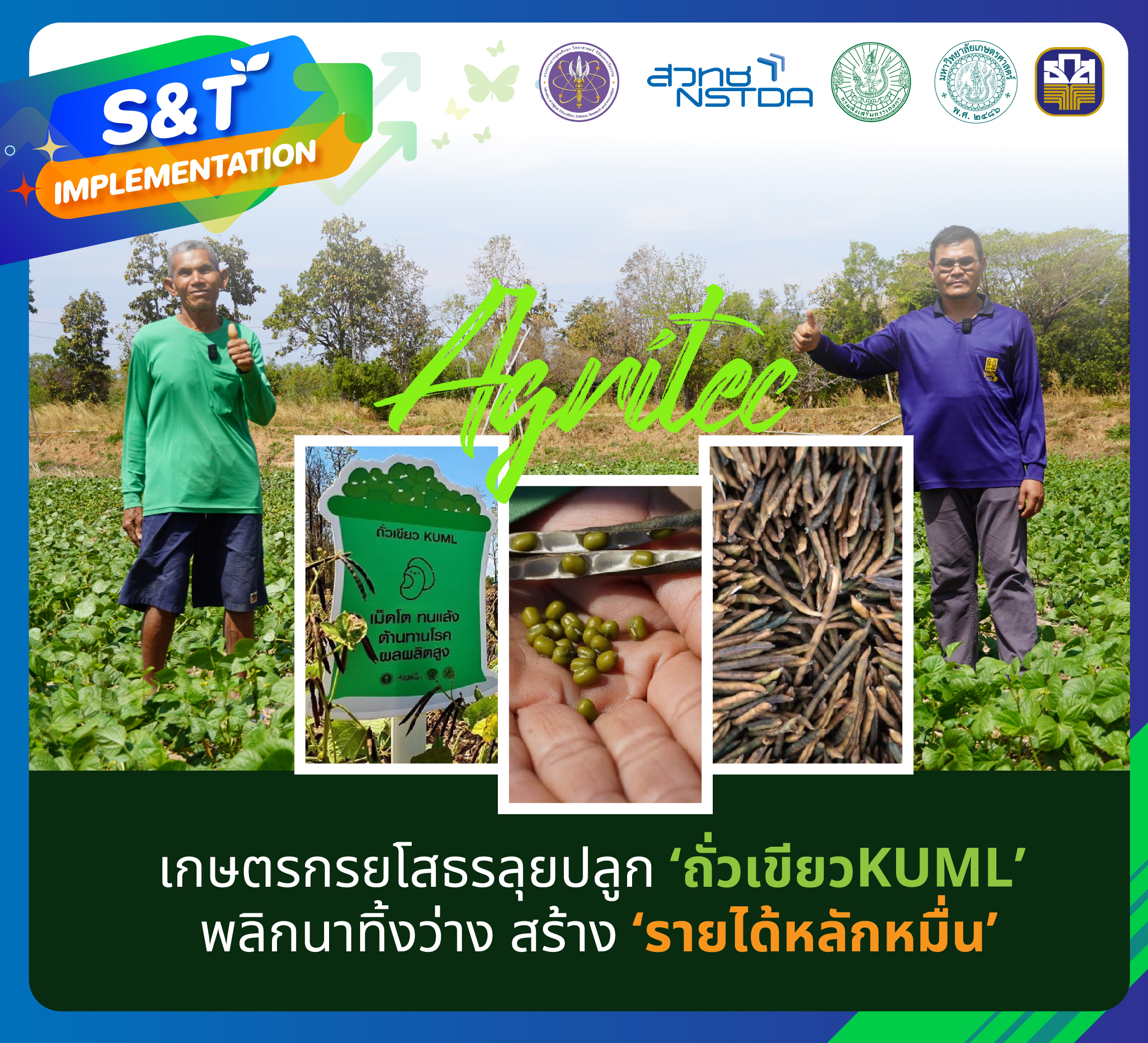 เกษตรกรยโสธรปลูก ‘ถั่วเขียว KUML’ พลิกนาทิ้งว่าง สร้าง ‘รายได้หลักหมื่น’