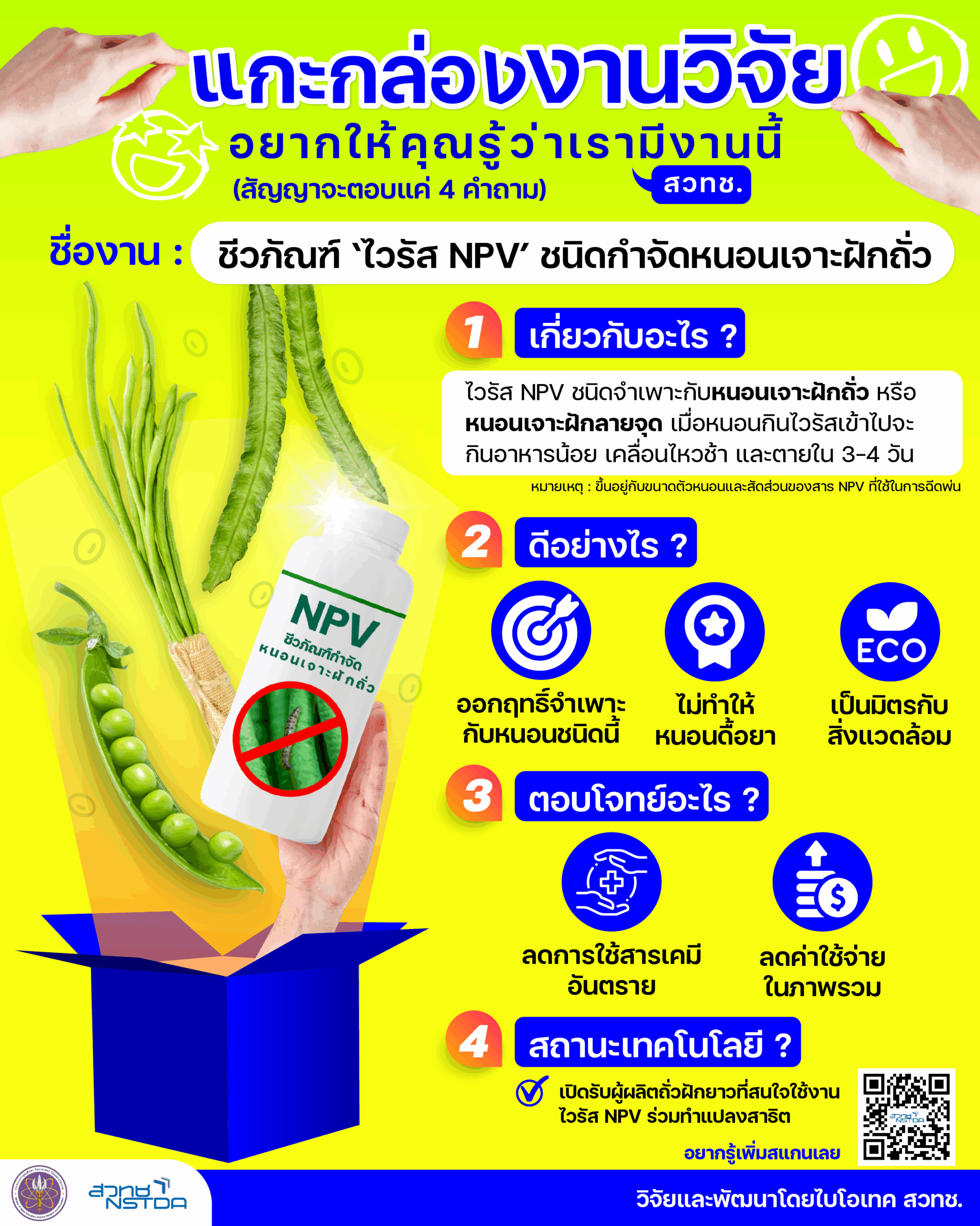 อินโฟกราฟิกให้ข้อมูลเกี่ยวกับงานวิจัย ชีวภัณฑ์ ‘ไวรัส NPV’ ชนิดกำจัดหนอนเจาะฝักถั่ว ซึ่งจะมีอธิบายในรายละเอียดต่อไป