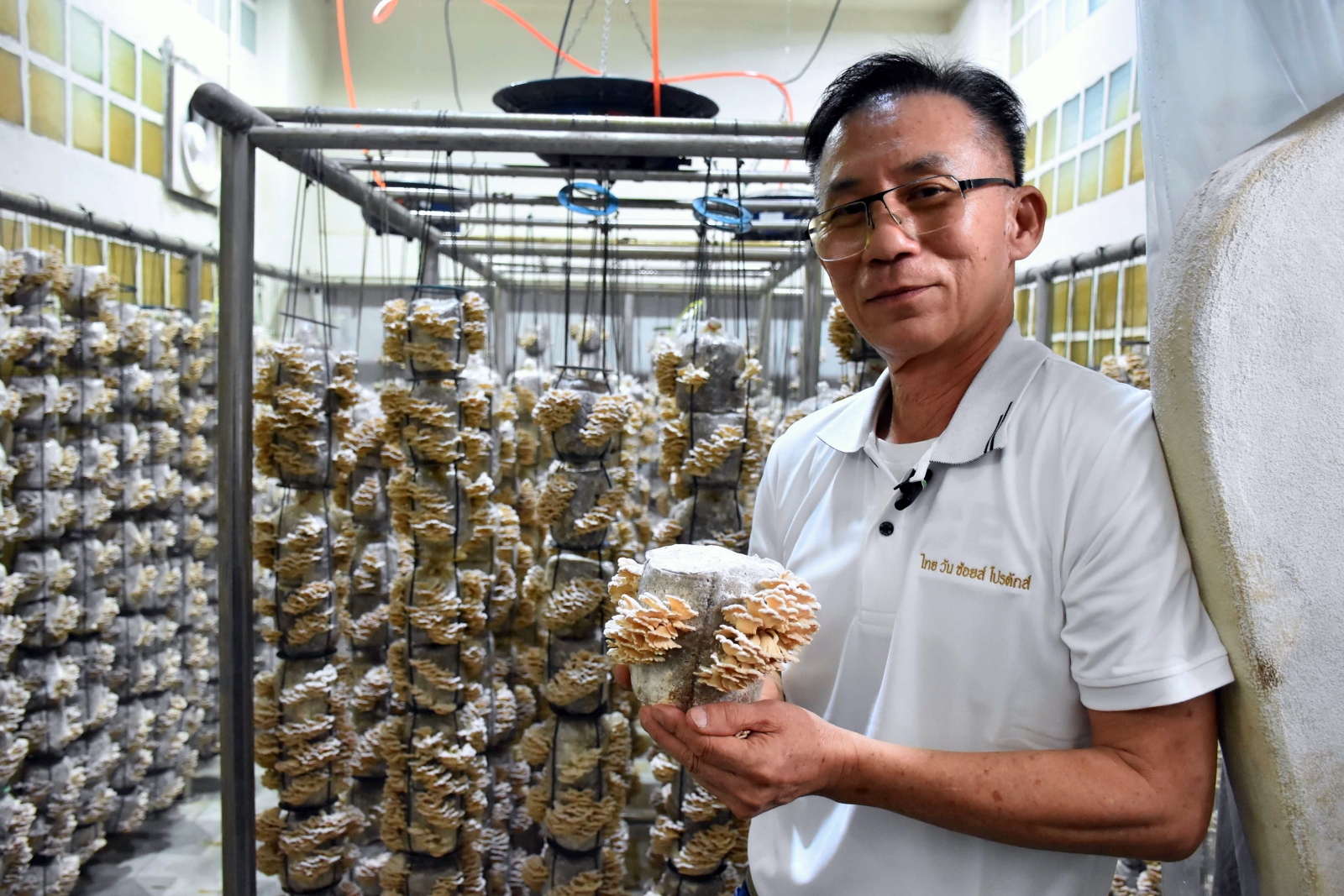 ภาพนายบุญโชค ไทยทัตกุล เกษตรกรผู้เชี่ยวชาญและเจ้าของศูนย์รวมสวนเห็ดบ้านอรัญญิก 