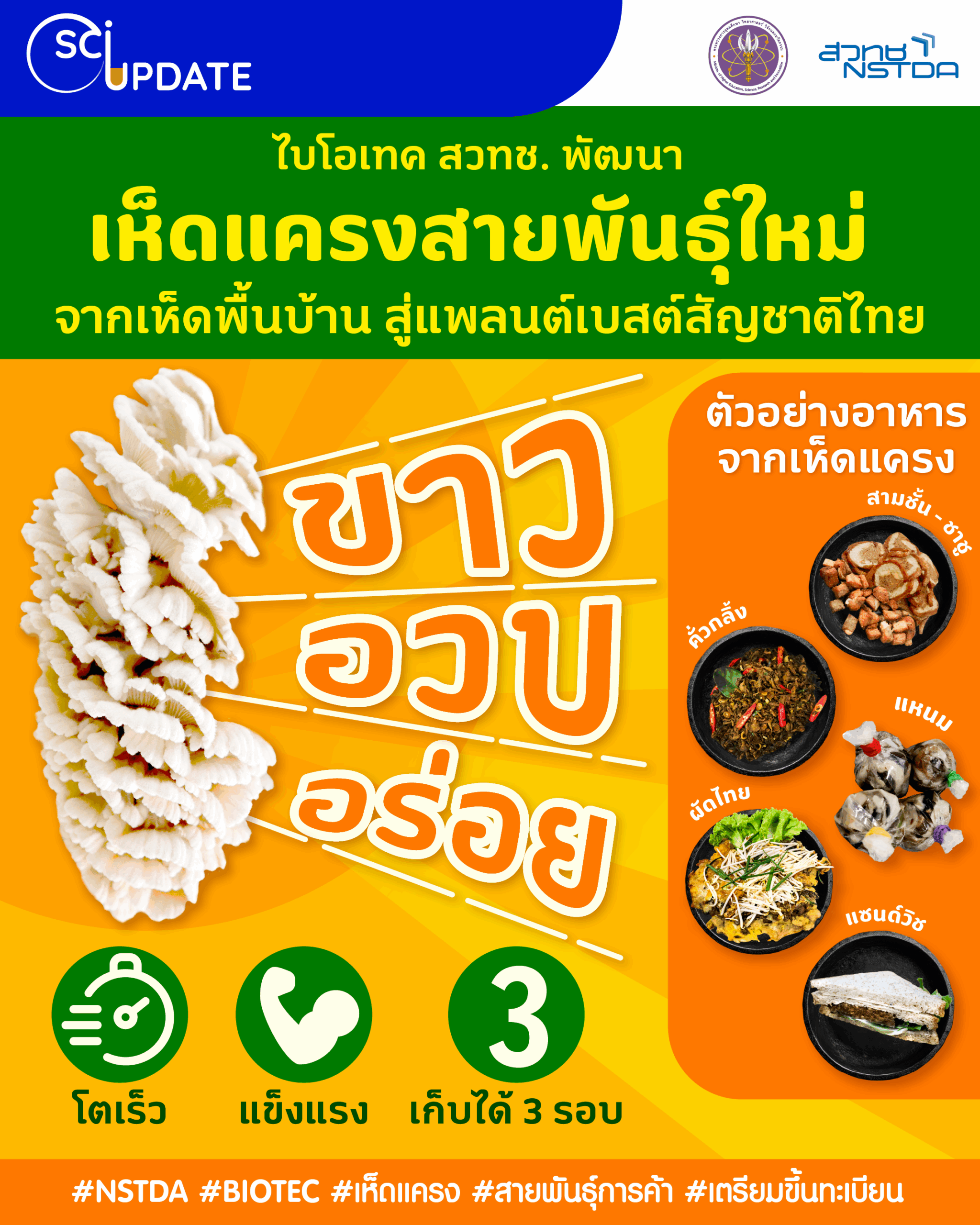 ไบโอเทคพัฒนา ‘เห็ดแครงสายพันธุ์ใหม่’ จากเห็ดพื้นบ้าน สู่แพลนต์เบสต์สัญชาติไทย | TS News