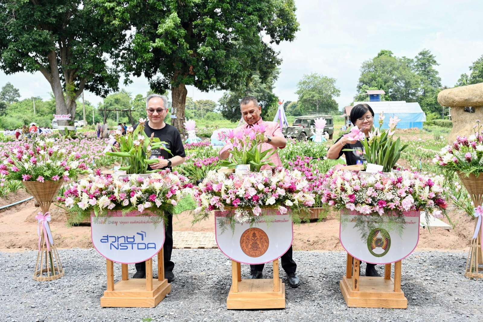 ภาพร่วมชม Field day ดอกปทุมมา