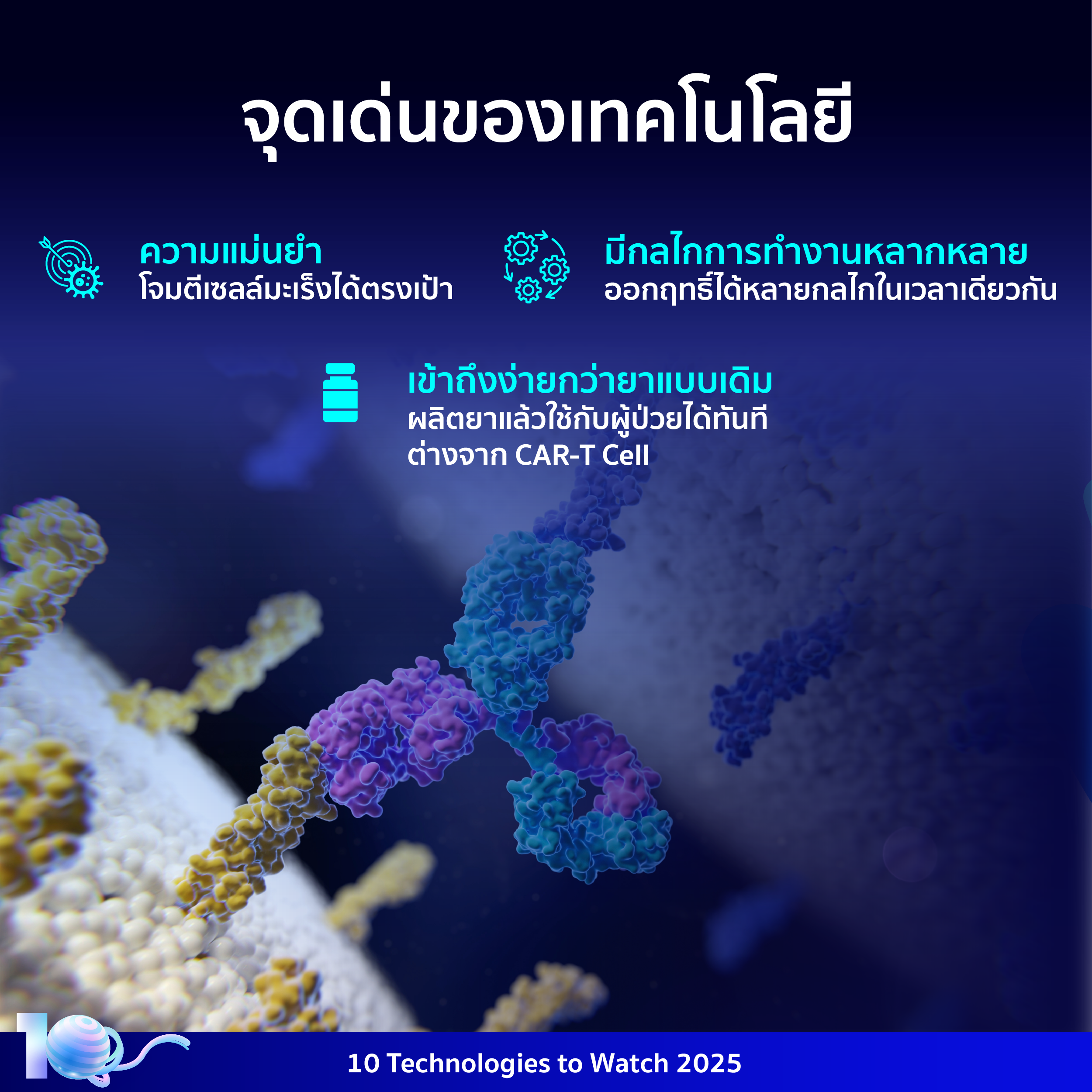 อินโฟกราฟิกประกอบเนื้อหาเรื่องแอนติบอดีจำเพาะแบบคู่ โดยมีรายละเอียดอยู่ในเนื้อหาส่วนต่อไป