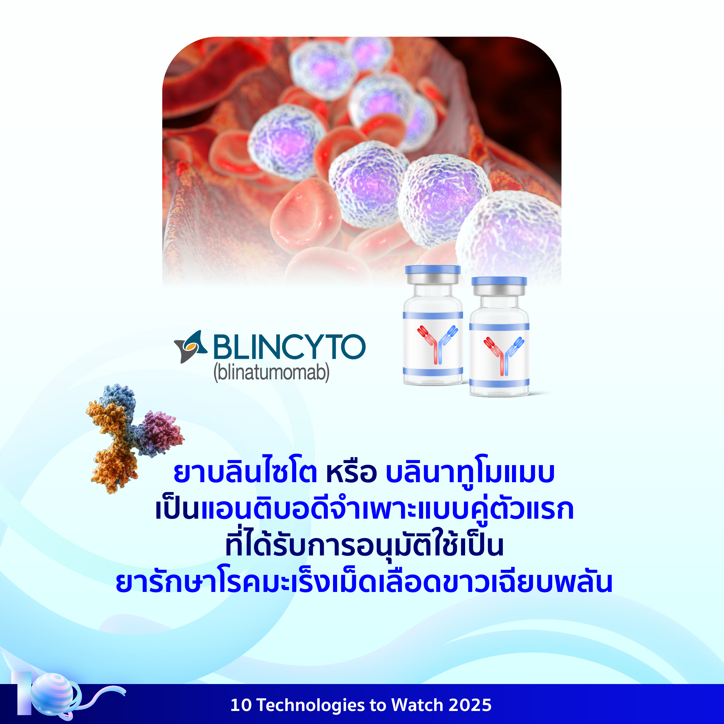 อินโฟกราฟิกประกอบเนื้อหาเรื่องแอนติบอดีจำเพาะแบบคู่ โดยมีรายละเอียดอยู่ในเนื้อหาส่วนต่อไป