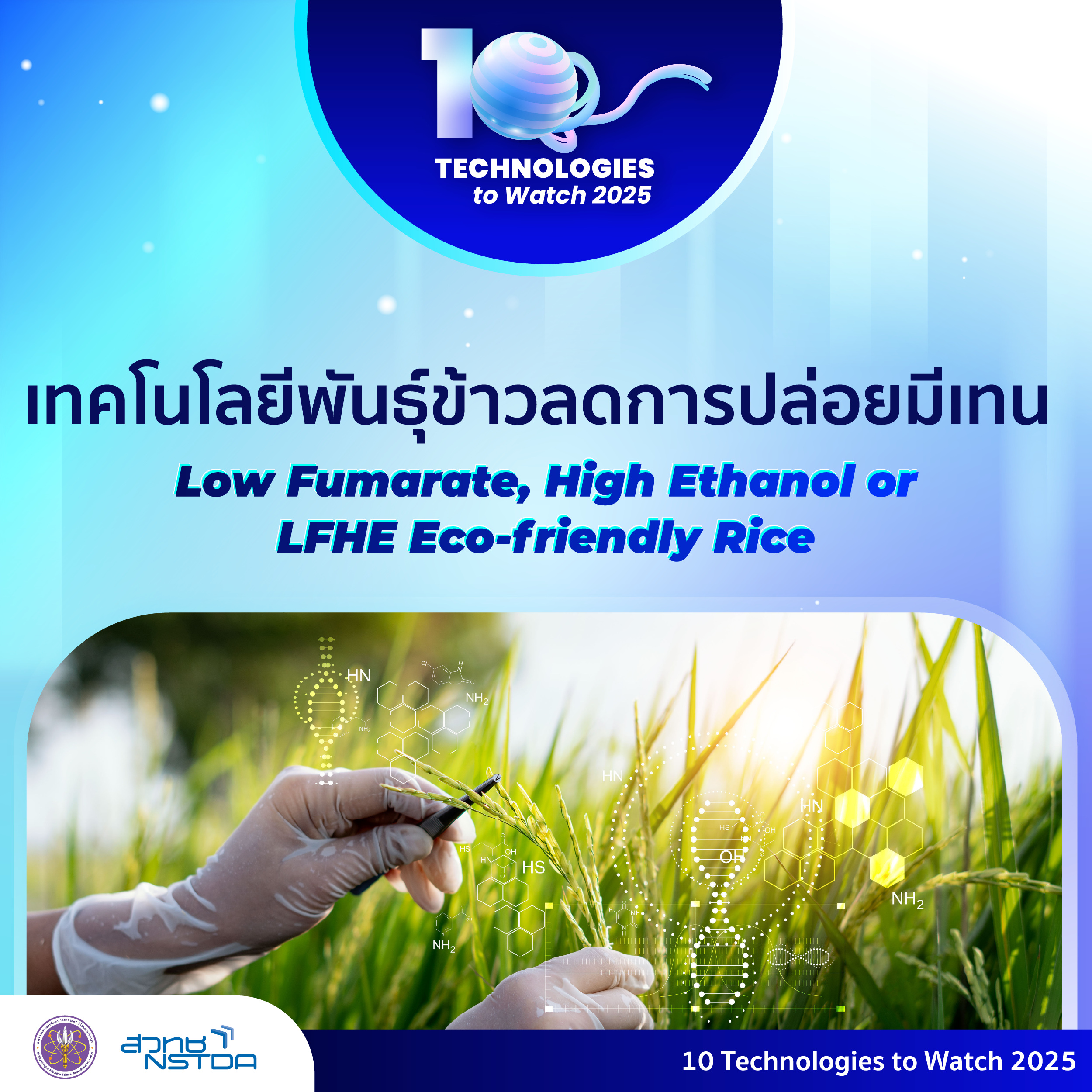 10 Technologies to Watch 2025: เทคโนโลยีพันธุ์ข้าวลดการปล่อยมีเทน (Low Fumarate, High Ethanol or LFHE Eco-friendly Rice)