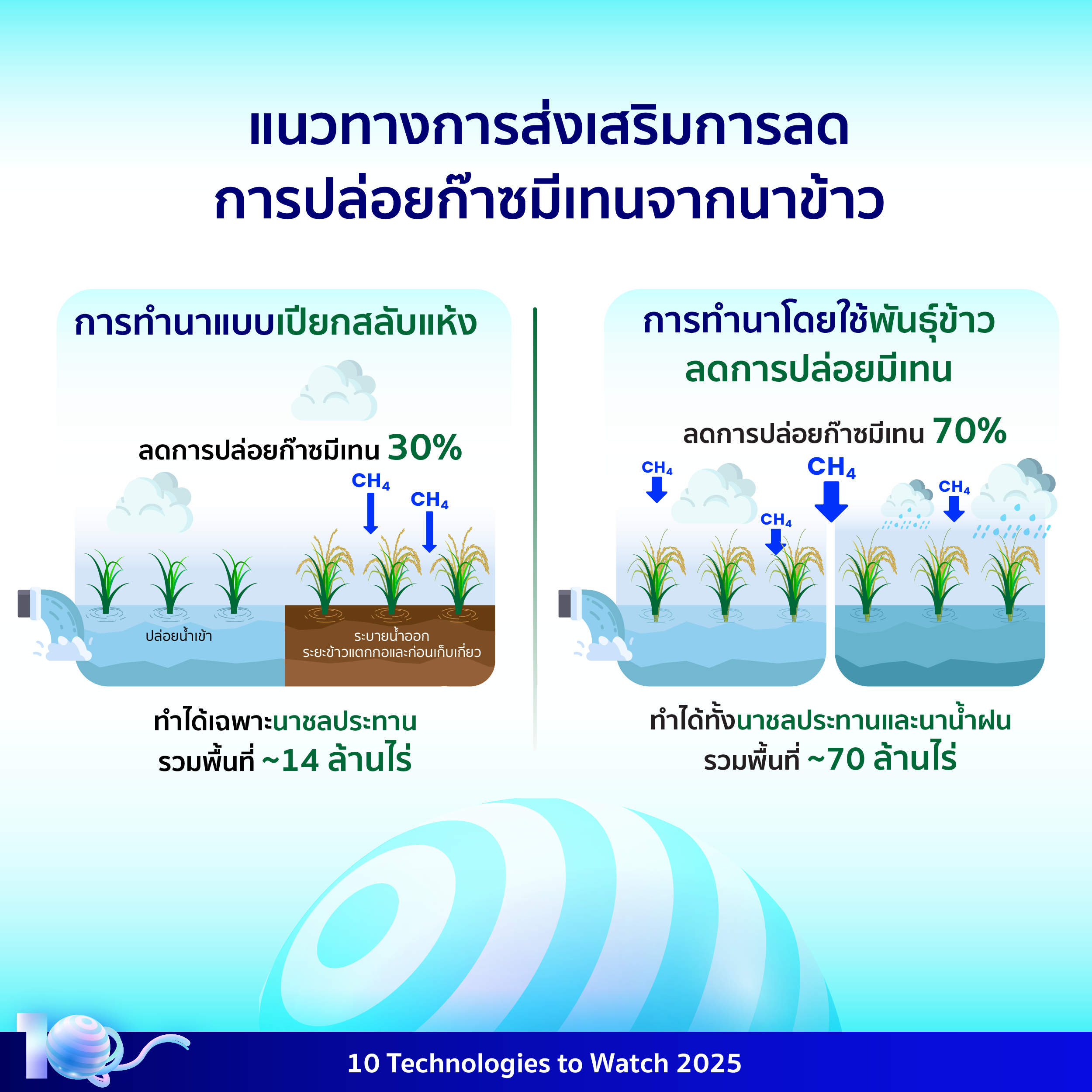 อินโฟกราฟิกประกอบเนื้อหาเรื่องเทคโนโลยีพันธุ์ข้าวลดการปล่อยมีเทน โดยมีรายละเอียดอยู่ในเนื้อหาส่วนต่อไป