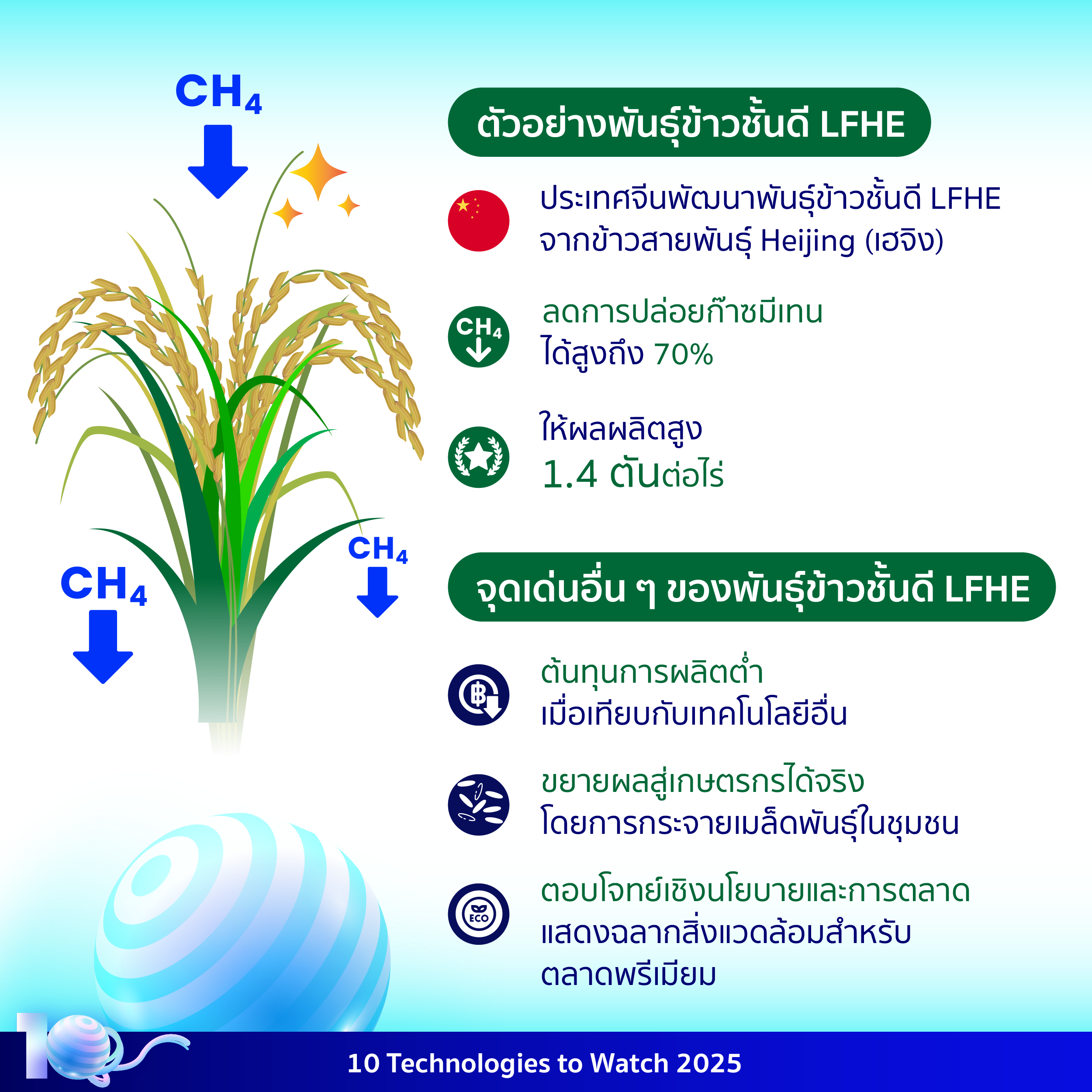 อินโฟกราฟิกประกอบเนื้อหาเรื่องเทคโนโลยีพันธุ์ข้าวลดการปล่อยมีเทน โดยมีรายละเอียดอยู่ในเนื้อหาส่วนต่อไป