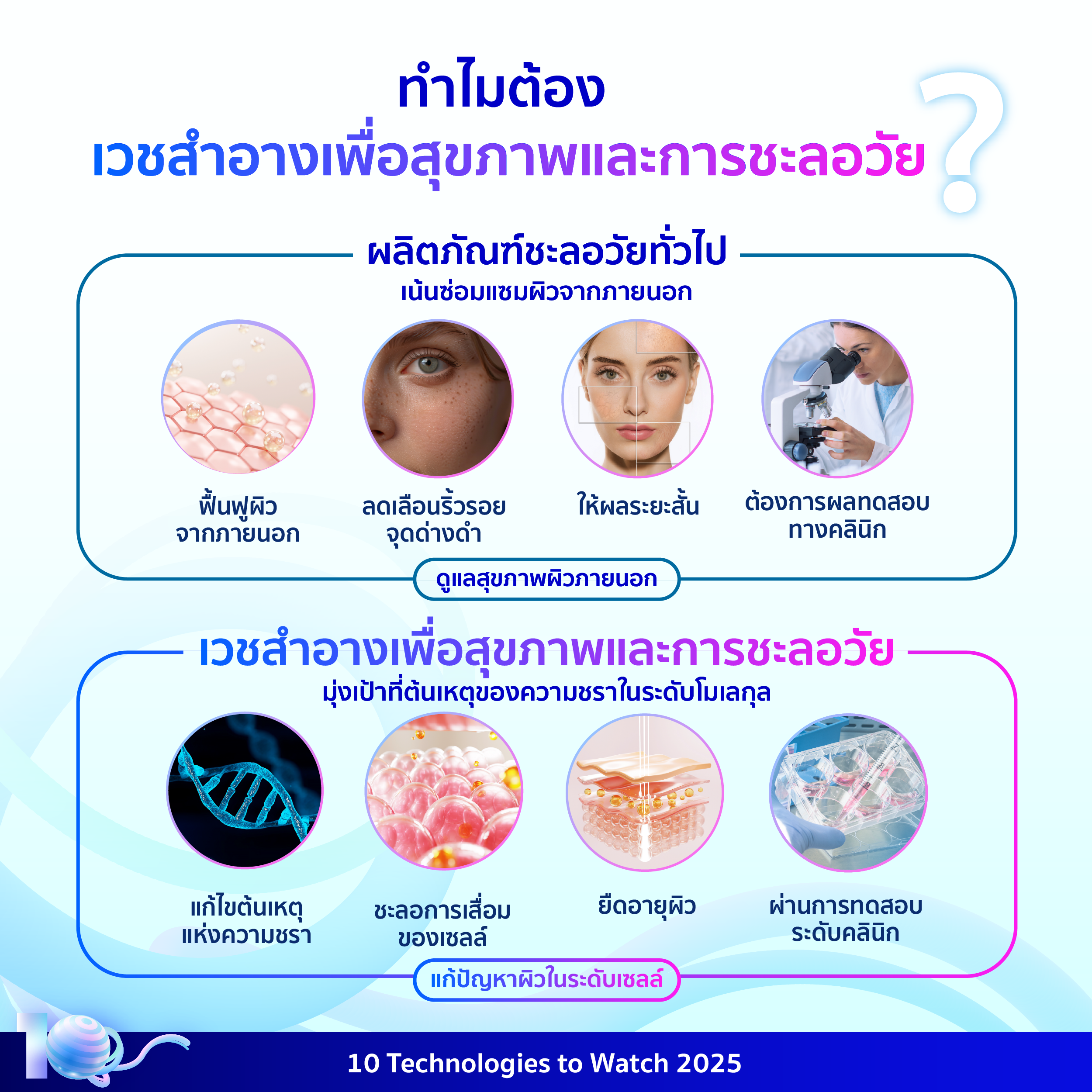 อินโฟกราฟิกประกอบเนื้อหาเรื่องเวชสำอางเพื่อสุขภาพและการชะลอวัย โดยมีรายละเอียดอยู่ในเนื้อหาส่วนต่อไป