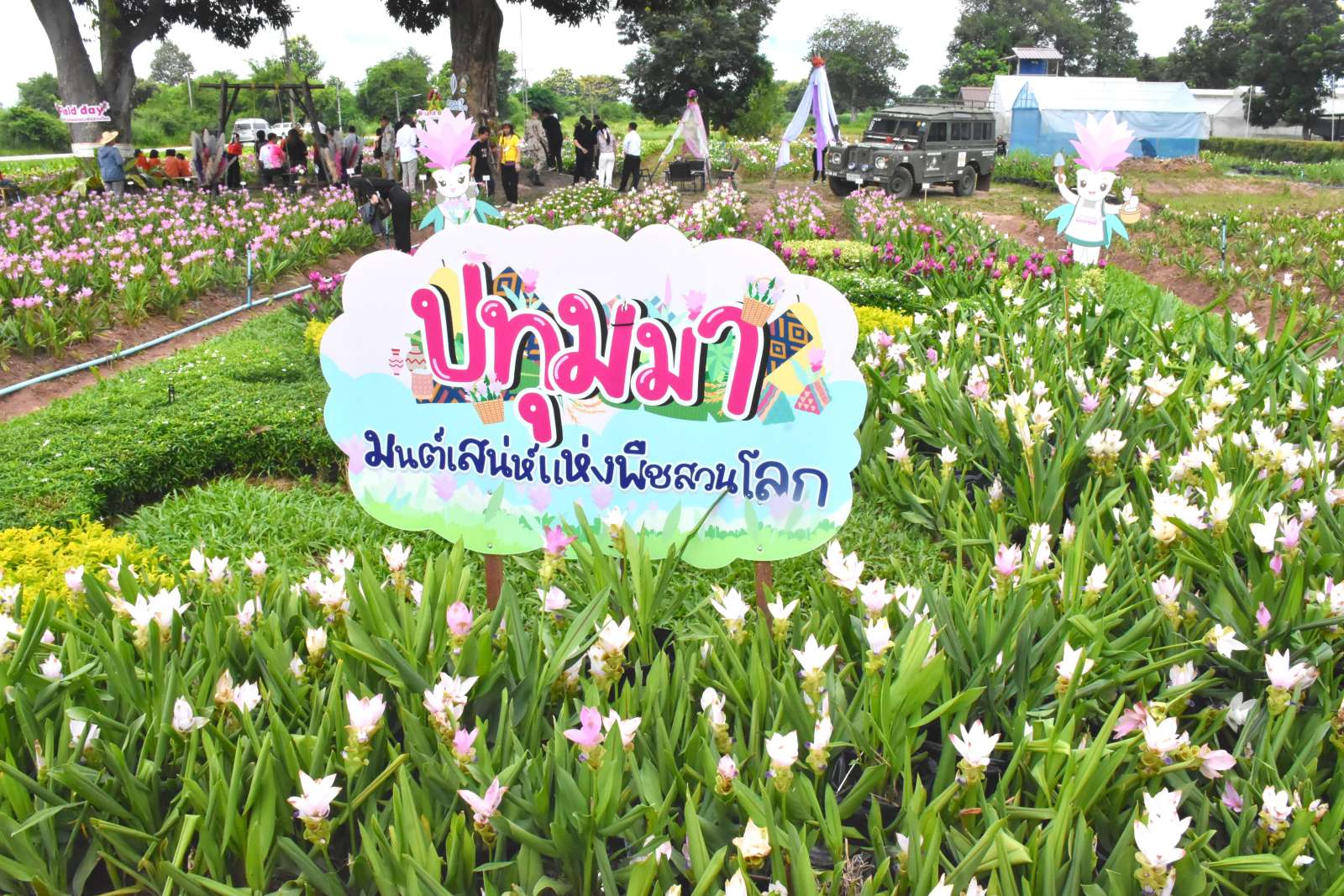 ภาพ Field Day ปทุมมา