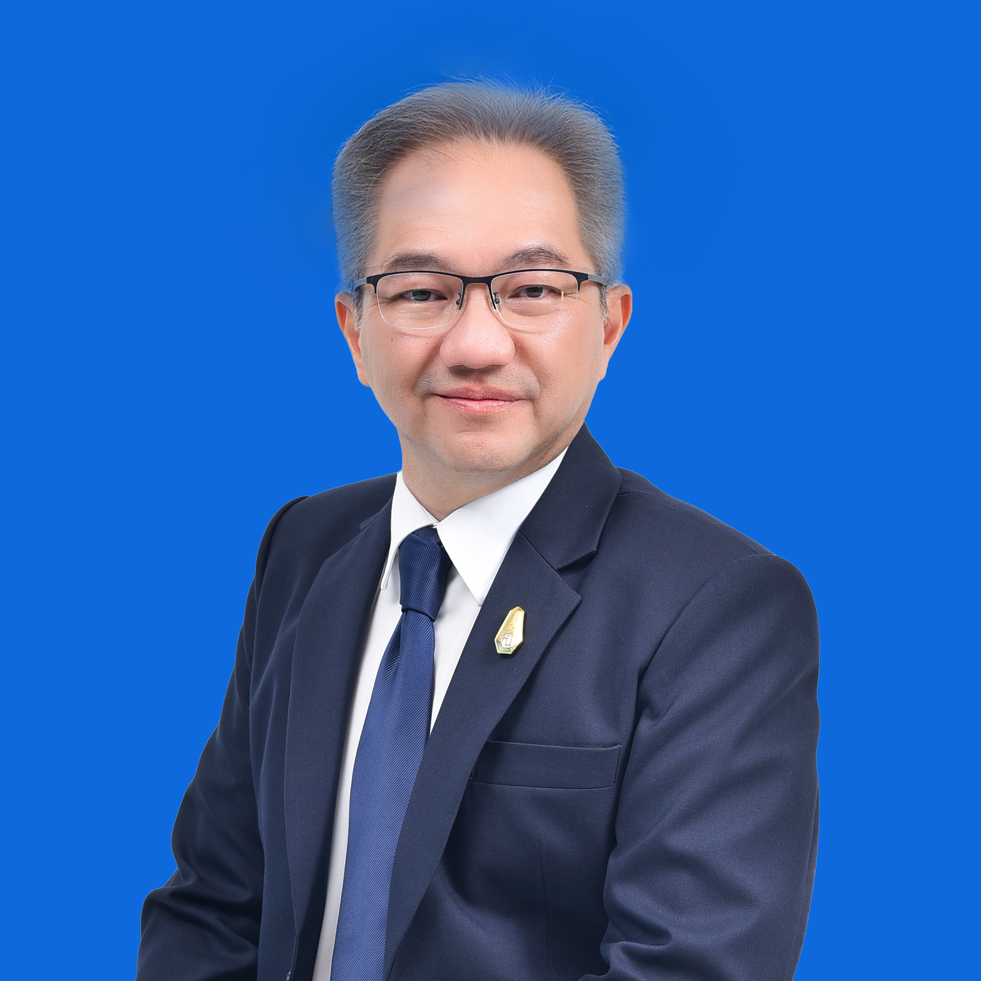 ศาสตราจารย์ ดร.ชูกิจ ลิมปิจำนงค์