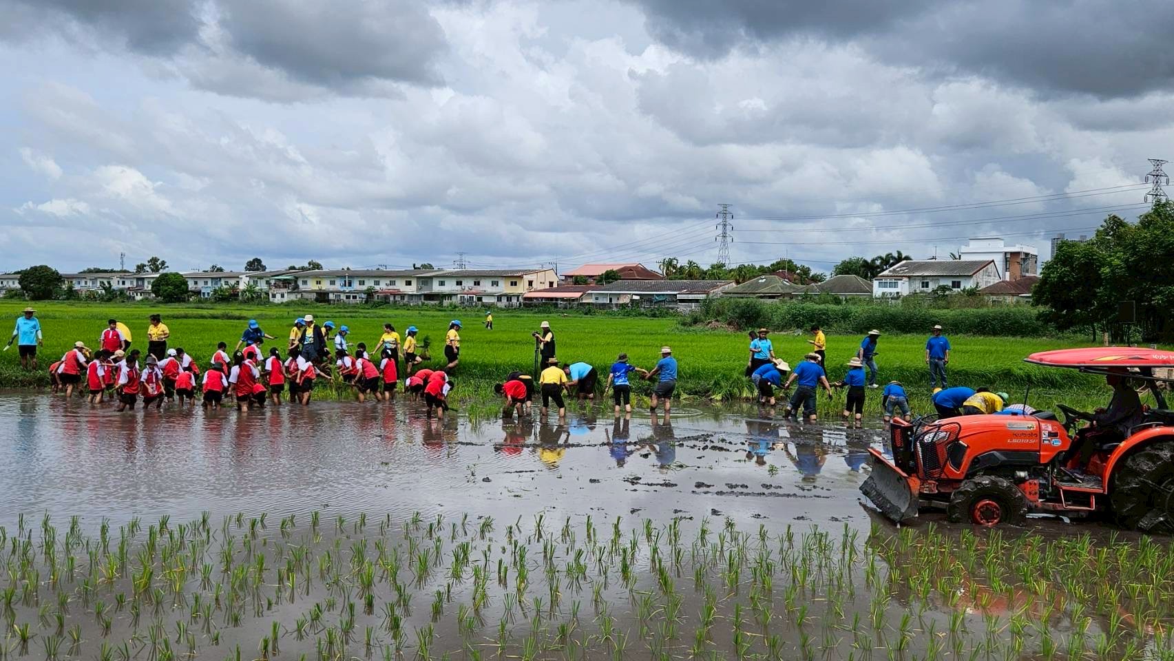 ภาพบรรยากาศภายในงานการปลูกข้าว