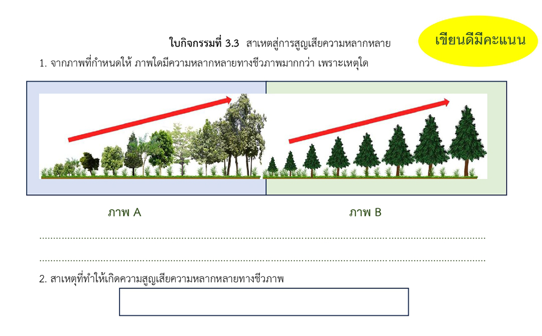 ภาพตัวอย่างใบงานประกอบกิจกรรมการเรียนรู้