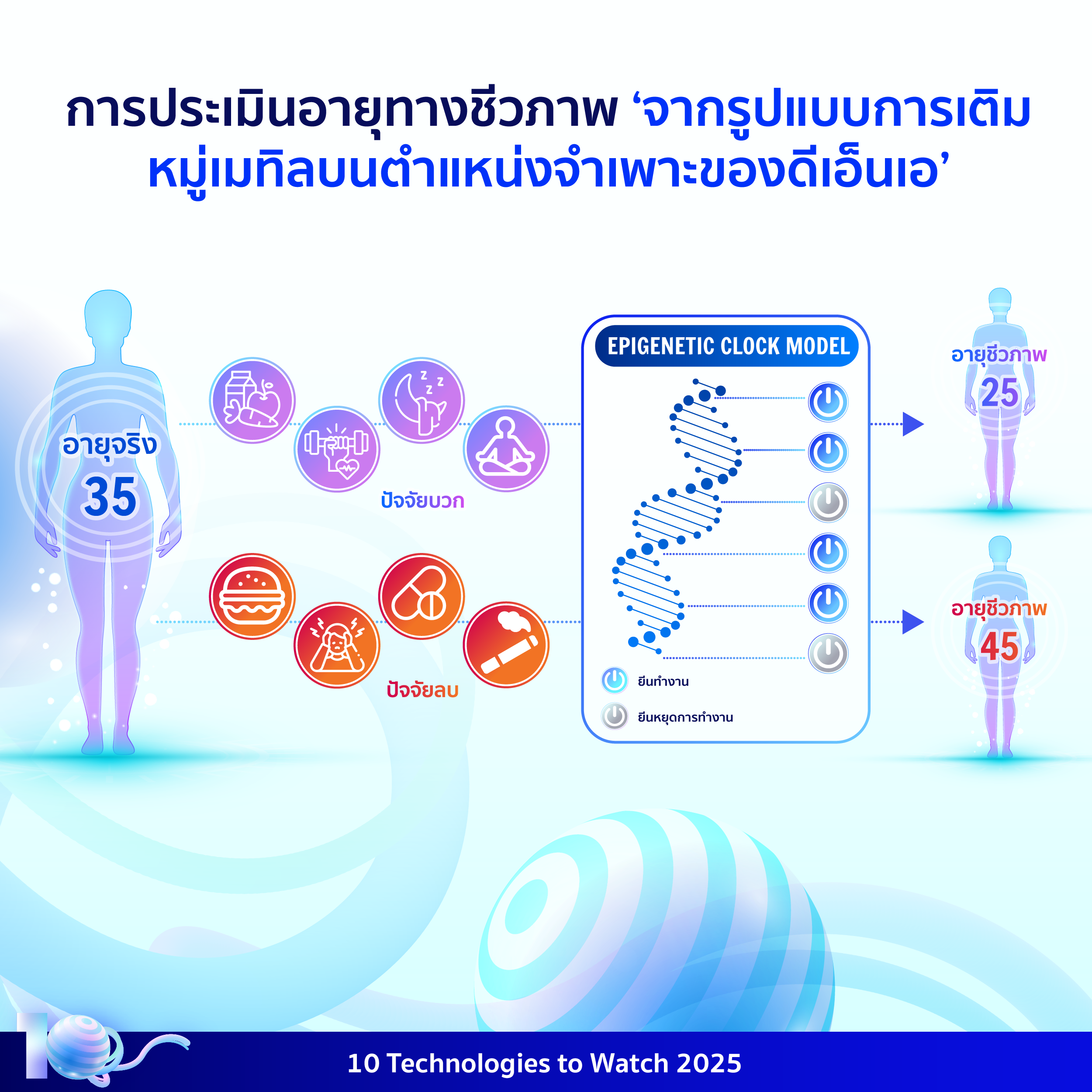 อินโฟกราฟิกประกอบเนื้อหาเรื่องเทคโนโลยีเอพิเจเนติกเพื่อการตรวจประเมินสุขภาพระดับเซลล์ โดยมีรายละเอียดอยู่ในเนื้อหาส่วนต่อไป