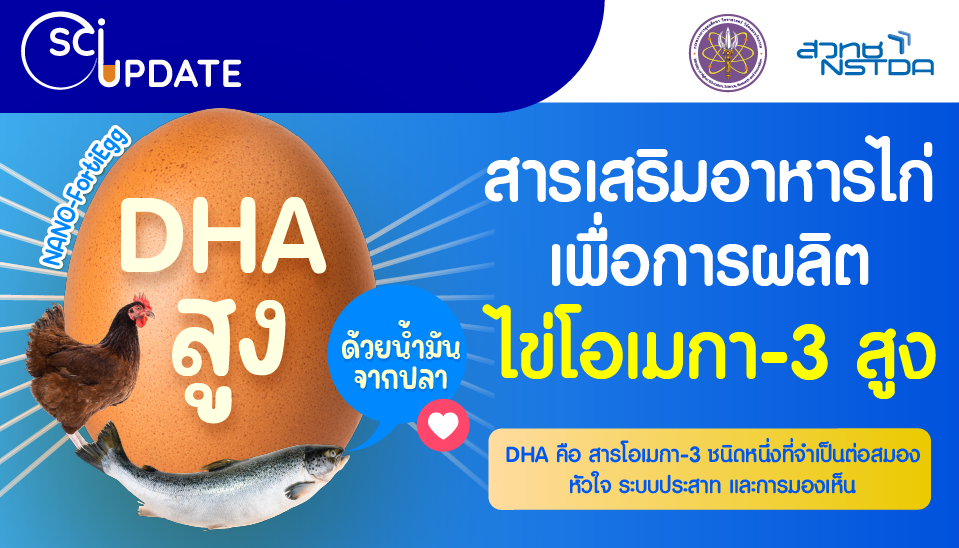 สารเสริมอาหารไก่เพื่อการผลิต ‘ไข่โอเมกา-3 สูง’