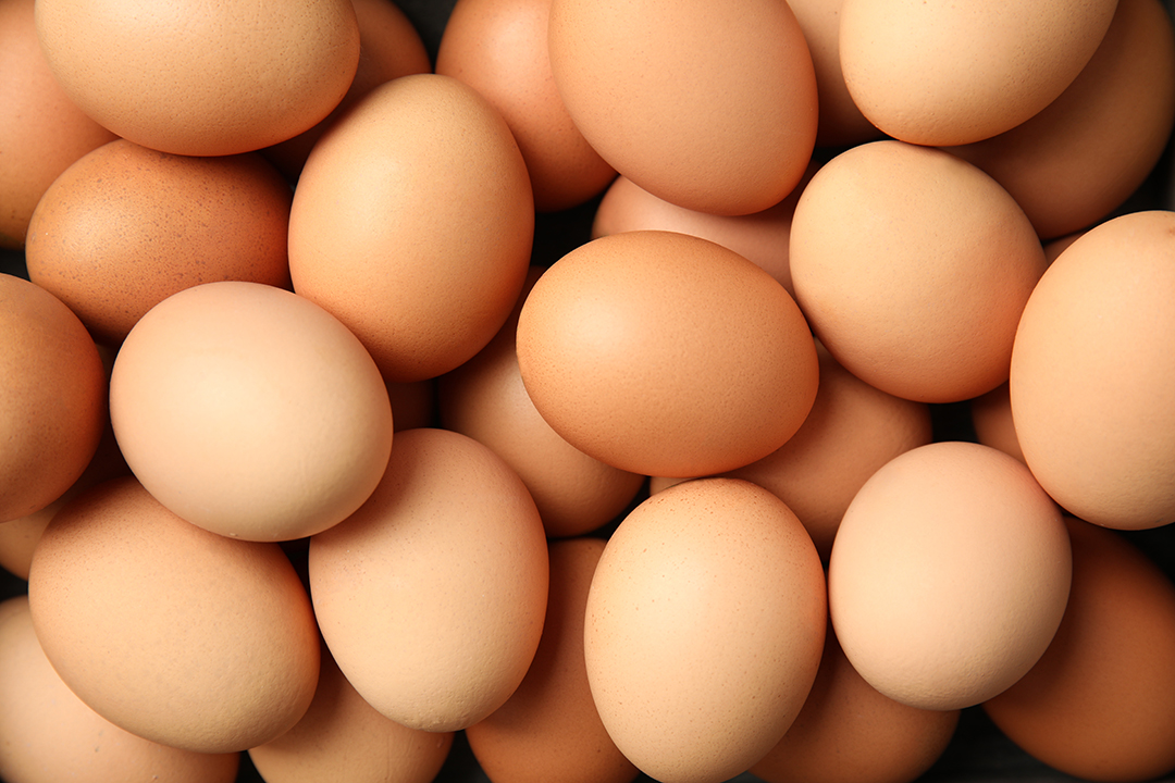 ไข่ไก่สีน้ำตาลหลายฟองเรียงซ้อนกัน แสดงพื้นผิวเปลือกเรียบในแสงธรรมชาติ