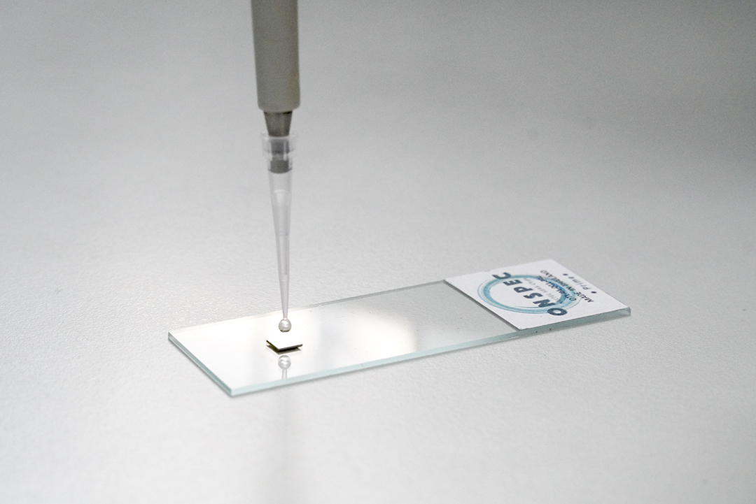 การหยดสารละลายที่ต้องการตรวจสอบลงบนชิป OnSpec เพื่อให้เกิดการขยายสัญญาณรามาน