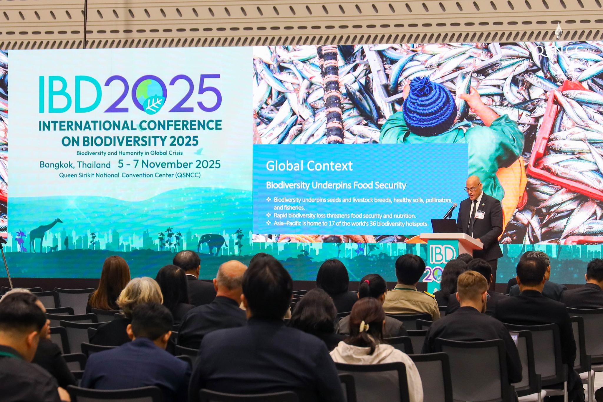 ภาพบรรยากาศภายในงาน