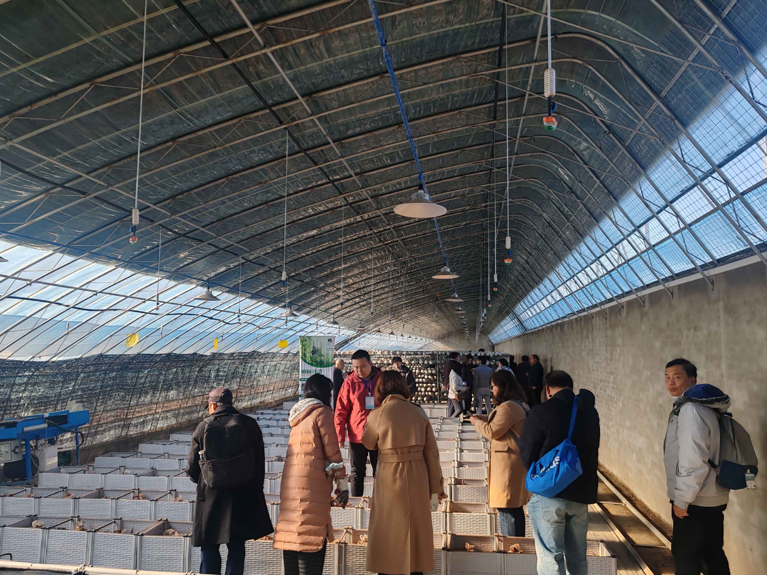 ภาพคณะผู้เข้าร่วม Workshop เยี่ยมชมโรงเรือนเพาะเห็ดขนาดใหญ่ของจีน พร้อมเจ้าหน้าที่ให้ข้อมูลด้านการผลิตเชิงอุตสาหกรรม