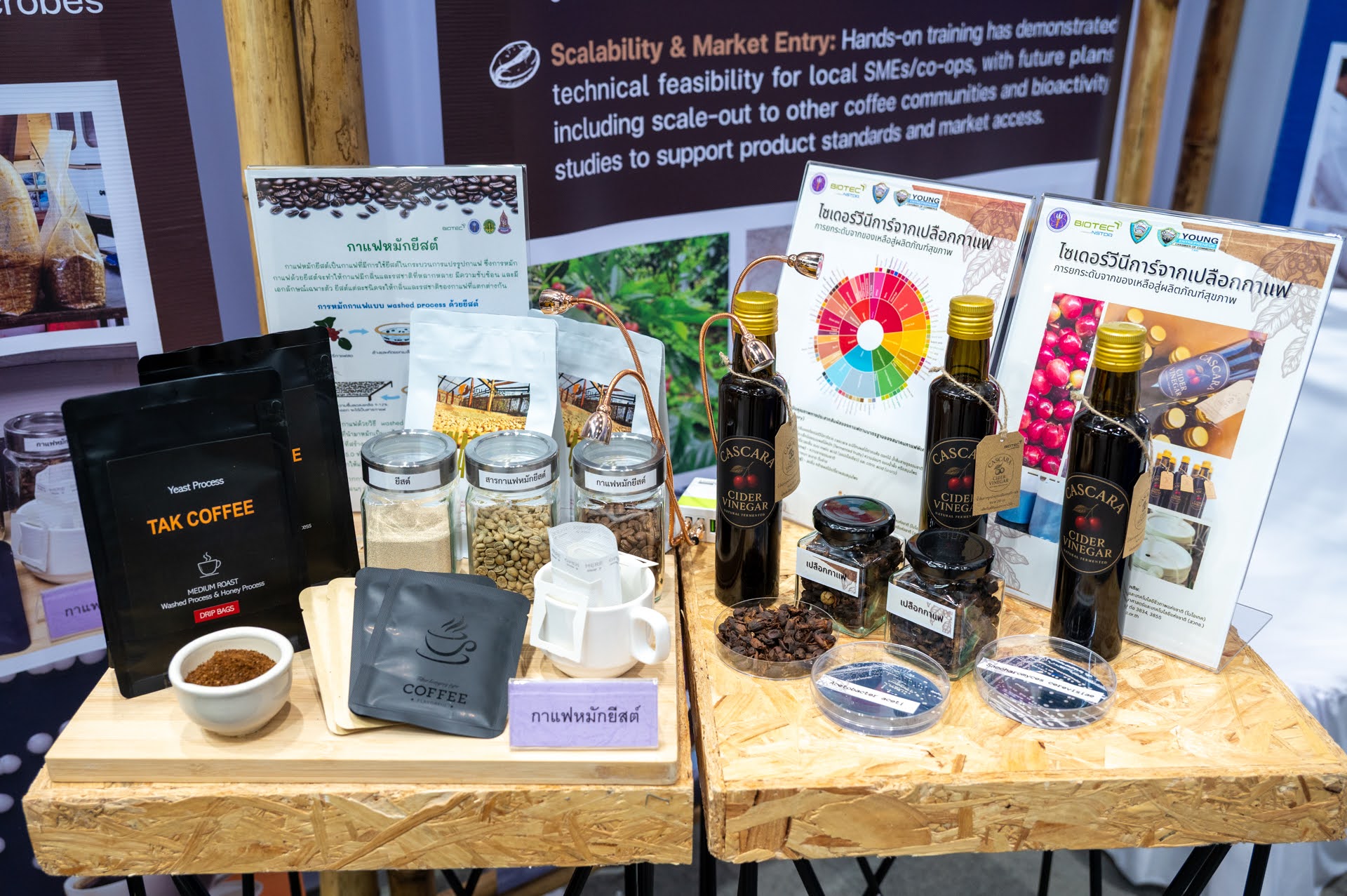 ภาพไบโอเทค สวทช. โดย ศูนย์ชีววัสดุประเทศไทย หรือ TBRC ซึ่งเป็นคลังทรัพยากรชีวภาพแห่งชาติ และธนาคารทรัพยากรชีวภาพแห่งชาติ (NBT) เป็นโครงสร้างพื้นฐานสำคัญที่สนับสนุนการอนุรักษ์และจัดเก็บตัวอย่างชีวภาพระยะยาว ร่วมนำผลงานวิจัยมาจัดแสดง