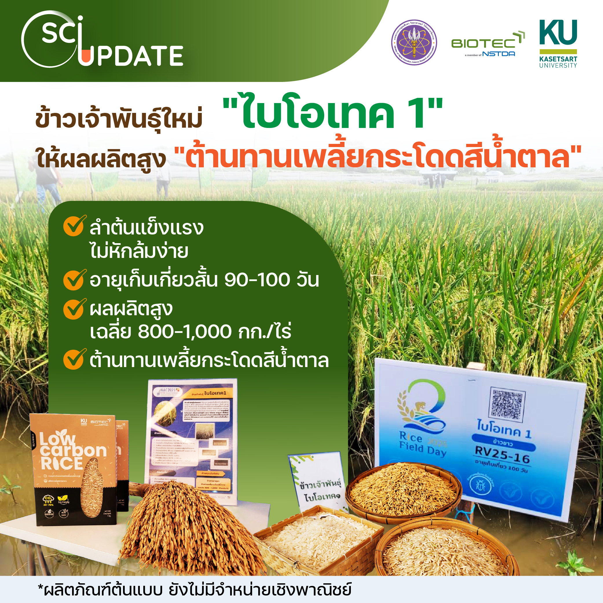 ภาพกราฟิกประกอบบทความเรื่องข้าวพันธุ์ไบโอเทค 1