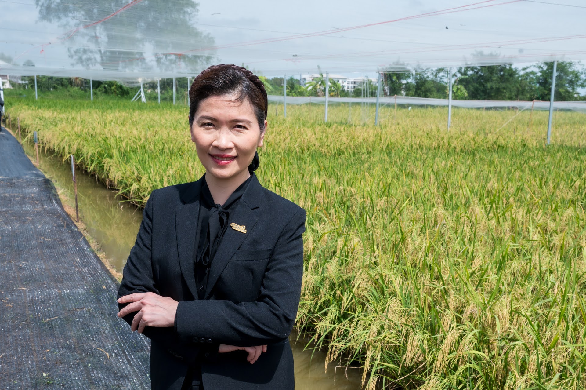 ภาพ สวทช. และมหาวิทยาลัยเกษตรศาสตร์ จัดงาน NSTDA-KU Rice Field Day 2025 โชว์พันธุ์ข้าวนวัตกรรมผลผลิตสูง 2 ตันต่อไร่ ณ วิทยาเขตกำแพงแสน