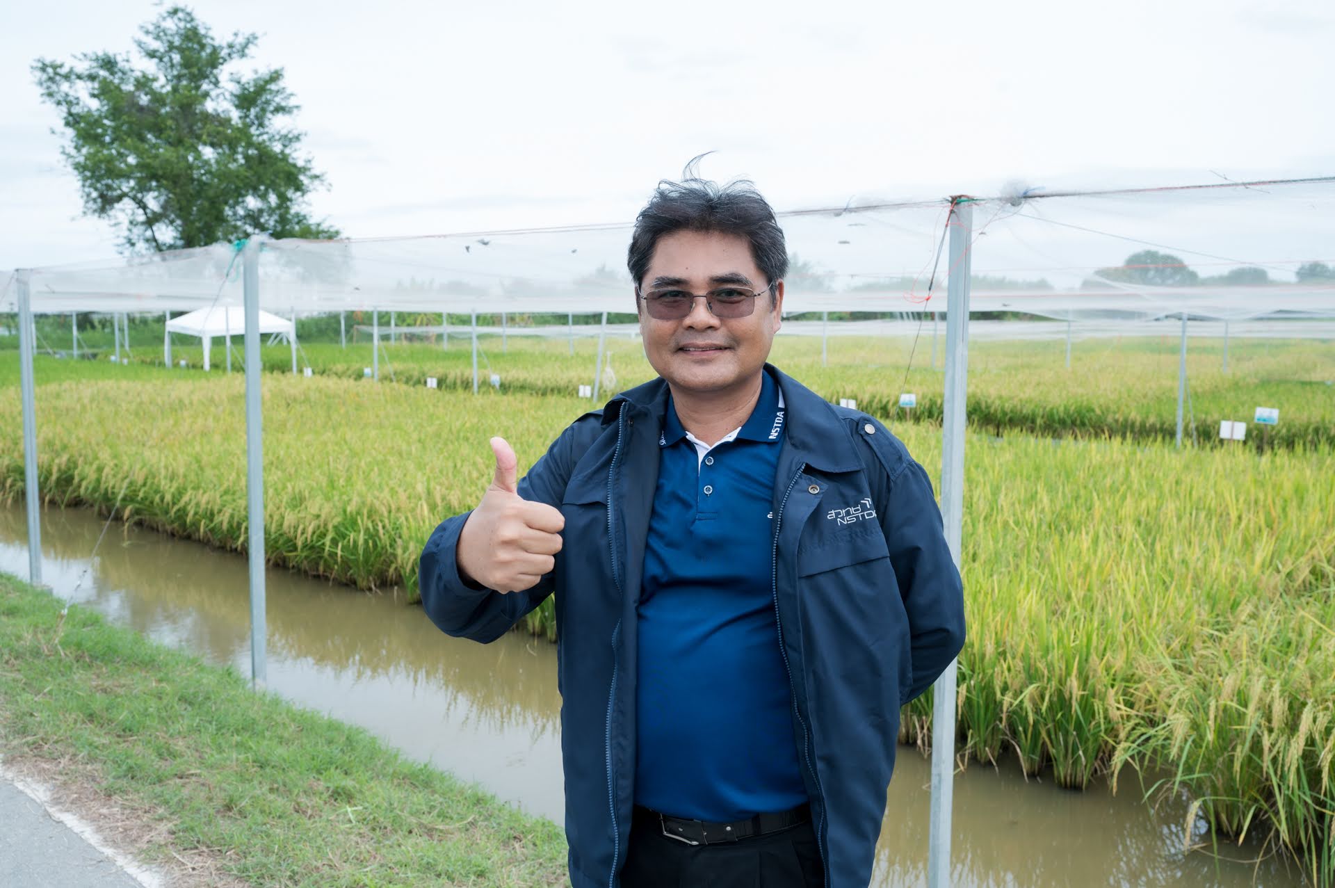 ภาพ สวทช. และมหาวิทยาลัยเกษตรศาสตร์ จัดงาน NSTDA-KU Rice Field Day 2025 โชว์พันธุ์ข้าวนวัตกรรมผลผลิตสูง 2 ตันต่อไร่ ณ วิทยาเขตกำแพงแสน