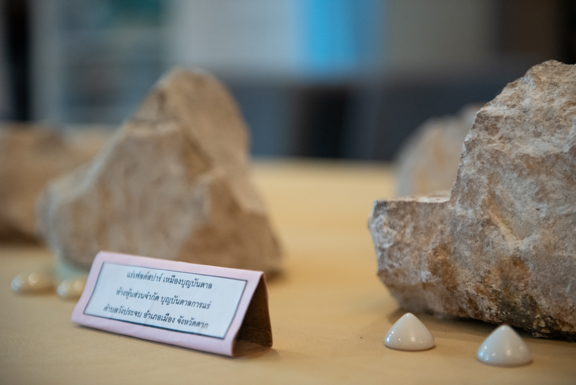 ภาพชิ้นงานที่จัดแสดงในงาน