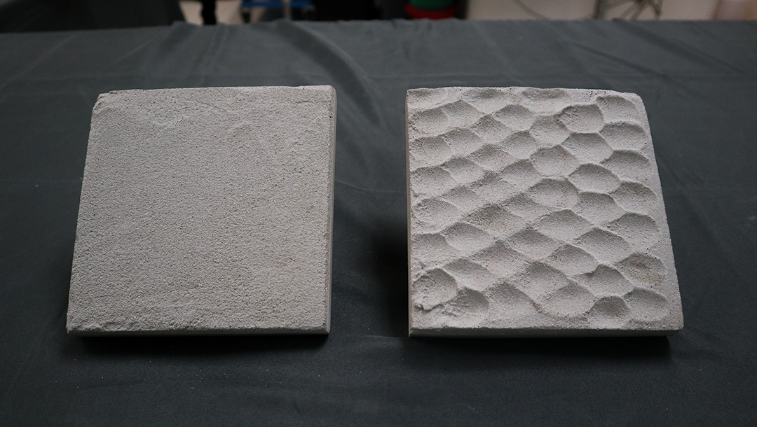 บรรยาการการวิจัยและพัฒนา