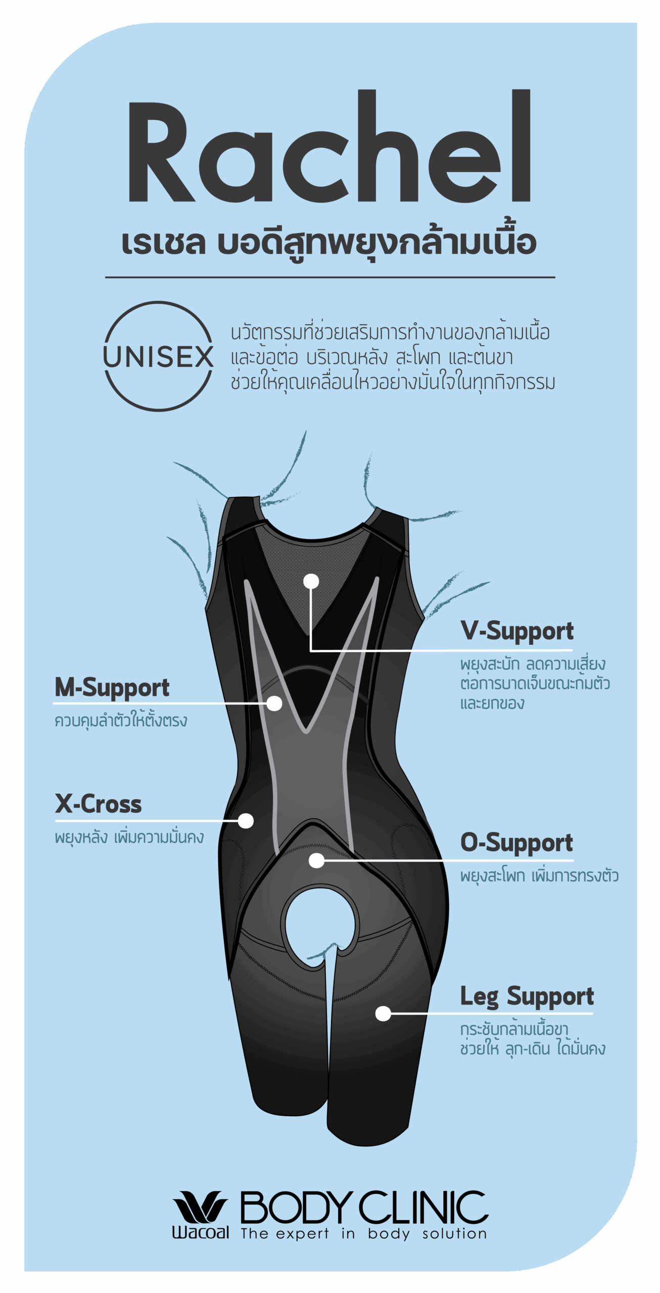อินโฟกราฟิกแสดงการซัพพอร์ตร่างกายของชุด Rachel รุ่น Everyday ในบริเวณสะบัก ลำตัว หลัง สะโพก และต้นขา