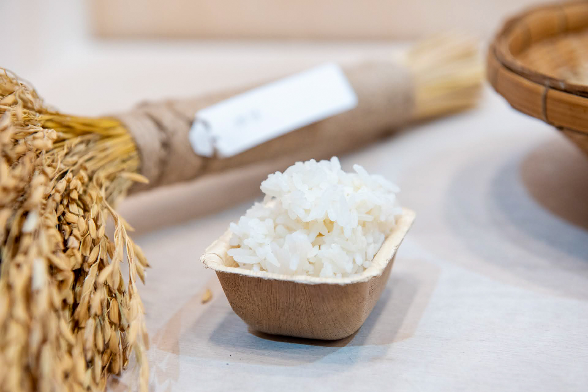 ภาพ: ข้าวสวยหุงสุกในภาชนะขนาดเล็กวางคู่กับมัดรวงข้าวแห้ง ตัวอย่างจากนิทรรศการนวัตกรรมข้าว