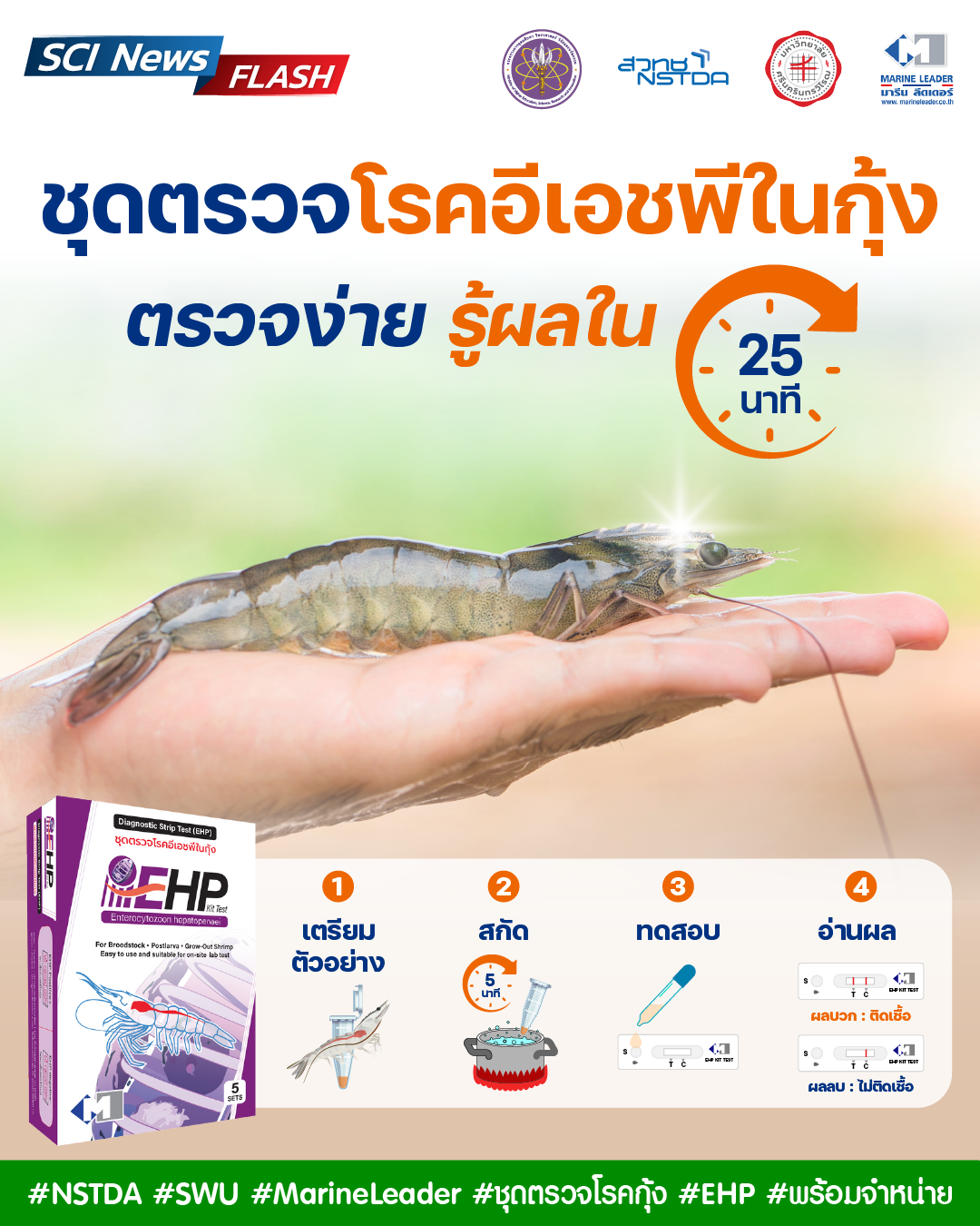 ชุดตรวจเชื้ออีเอชพี (EHP) ในกุ้ง ตรวจง่าย รู้ผลใน 25 นาที