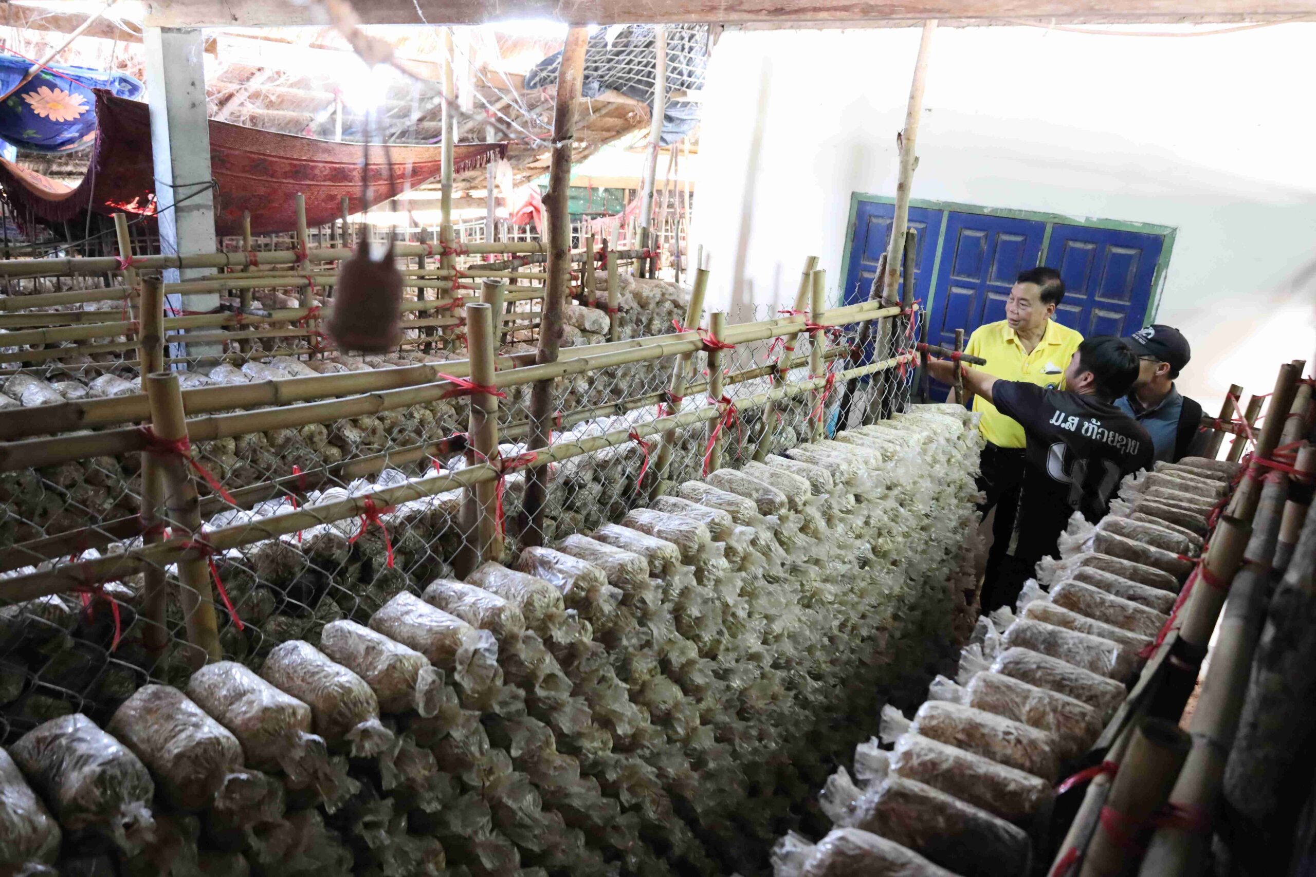 ภาพเยี่ยมฟาร์มของเกษตกรที่เคยเข้าร่วมอบรมที่ประเทศไทย