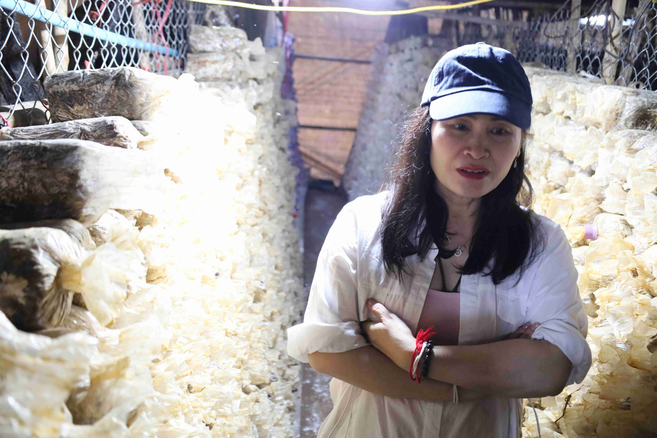 ภาพเยี่ยมฟาร์มของเกษตกรที่เคยเข้าร่วมอบรมที่ประเทศไทย