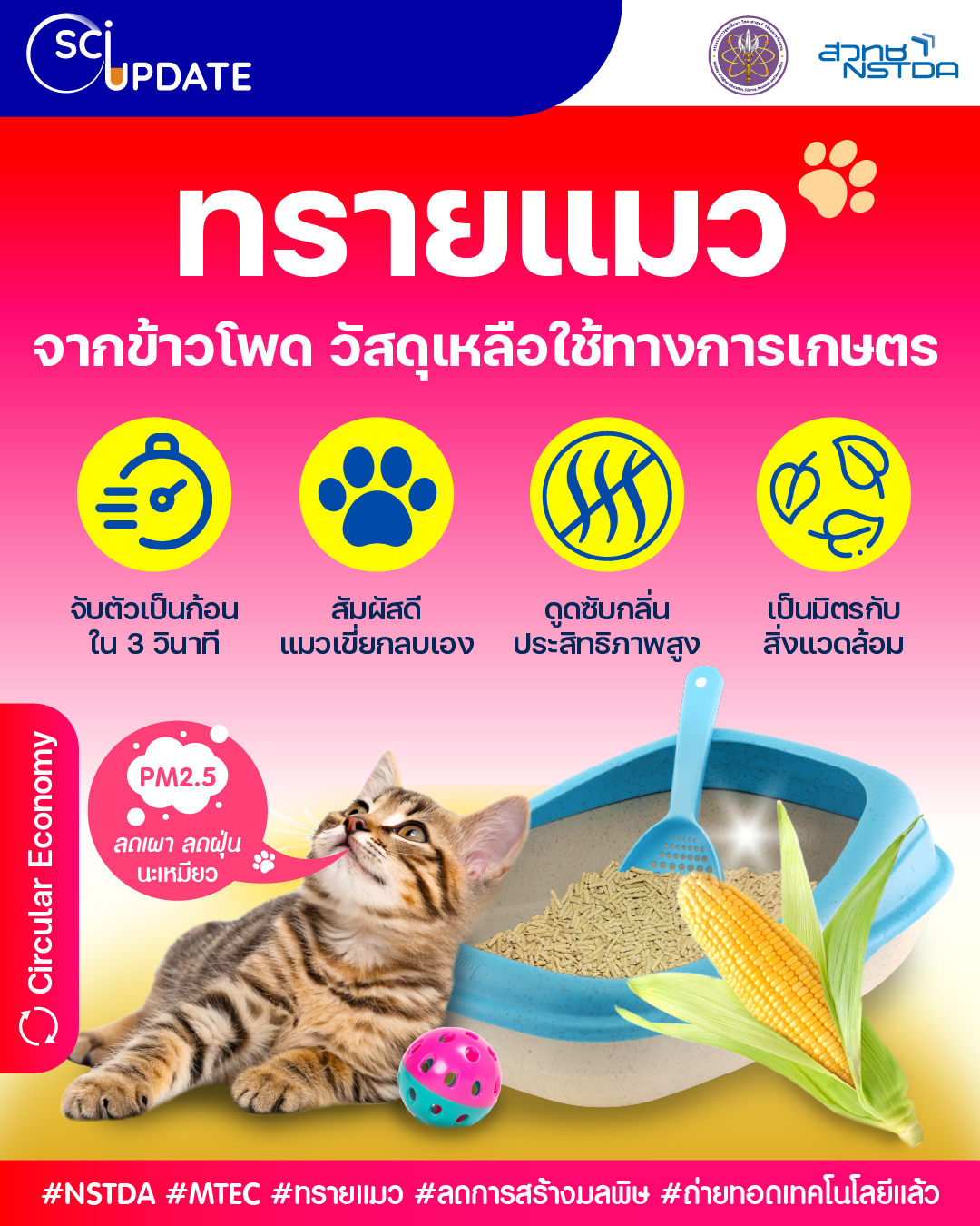 เหมียวฟิน ! “ทรายแมวจากข้าวโพด วัสดุเหลือใช้ทางการเกษตร” จับตัวเป็นก้อนใน 3 วินาที แห้งไว ไร้กลิ่น แมวกลบง่าย ทาสสบายใจ