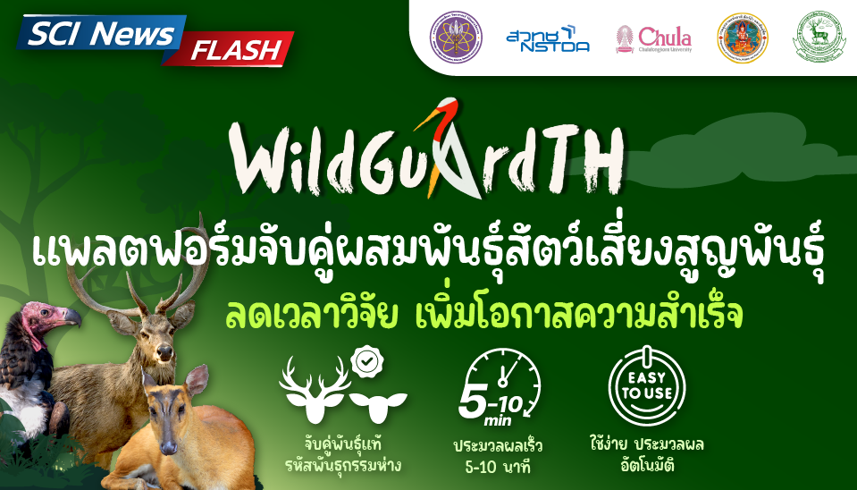WildGuardTH เมื่อนักอนุรักษ์สวมบท “พ่อสื่อ” สแกนโปรไฟล์พันธุกรรม เพื่อหา “คู่แท้” ให้สัตว์ใกล้สูญพันธุ์