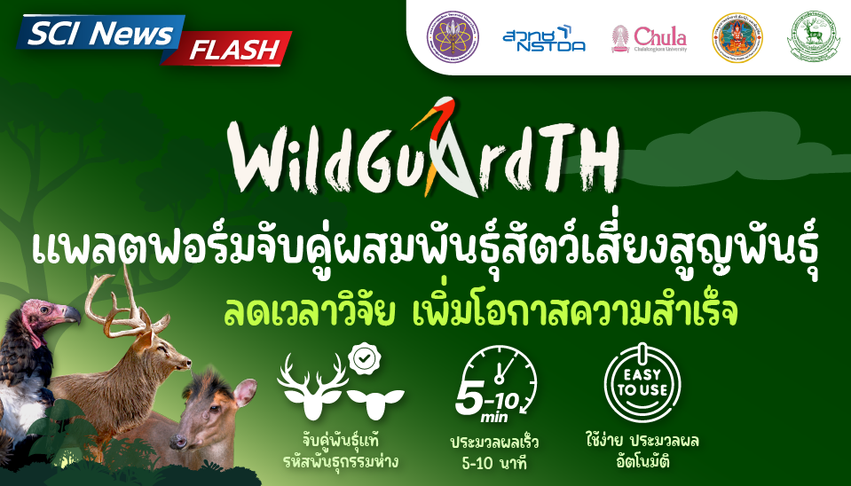 WildGuardTH เมื่อนักอนุรักษ์สวมบท “พ่อสื่อ” สแกนโปรไฟล์พันธุกรรม เพื่อหา “คู่แท้” ให้สัตว์ใกล้สูญพันธุ์