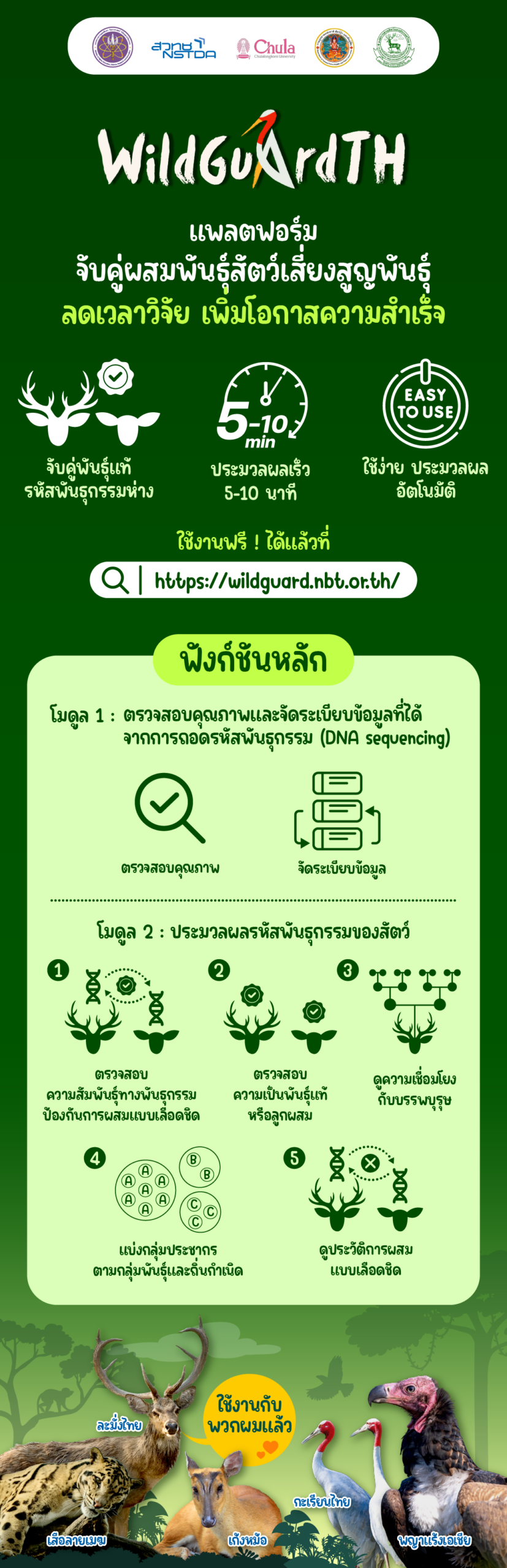 อินโฟกราฟิกแพลตฟอร์ม WildGuardTH ข้อความอธิบายว่าเป็นแพลตฟอร์มจับคู่ผสมพันธุ์สัตว์เสี่ยงสูญพันธุ์ ช่วยลดเวลาวิจัย และเพิ่มโอกาสความสำเร็จ มีไอคอนสรุปจุดเด่น ได้แก่ จับคู่พันธุ์แท้รหัสพันธุกรรมห่าง ประมวลผลเร็ว 5–10 นาที และใช้งานง่าย ประมวลผลอัตโนมัติ โดยมีการอธิบายเกี่ยวกับแพลตฟอร์มเพิ่มเติมว่าฟังก์ชันหลักประกอบด้วย 2 โมดูล โมดูลแรกคือโมดูลสำหรับตรวจสอบคุณภาพและจัดระเบียบข้อมูลที่ได้จากการถอดรหัสพันธุกรรมหรือ DNA sequencing และโมดูลที่สองคือโมดูลสำหรับประมวลผลรหัสพันธุกรรมของสัตว์ ครอบคลุมการตรวจความสัมพันธ์ทางพันธุกรรมป้องกันการผสมแบบเลือดชิด ตรวจสอบความเป็นพันธุ์แท้หรือลูกผสม ดูความเชื่อมโยงกับบรรพบุรุษ การแบ่งกลุ่มประชากรตามกลุ่มพันธุ์และถิ่นกำเนิด และดูประวัติการผสมแบบเลือดชิด