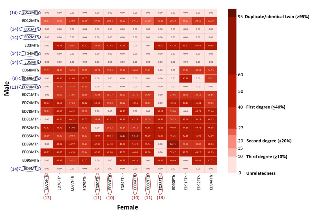 กราฟแสดงผลข้อมูลการจับคู่ละมั่งพันธุ์ไทย โดยแสดงผลข้อมูลการจับคู่ให้เห็นเป็นเฉดสีจากอ่อนไปเข้ม หรือจากความแตกต่างทางพันธุกรรมมากไปน้อย