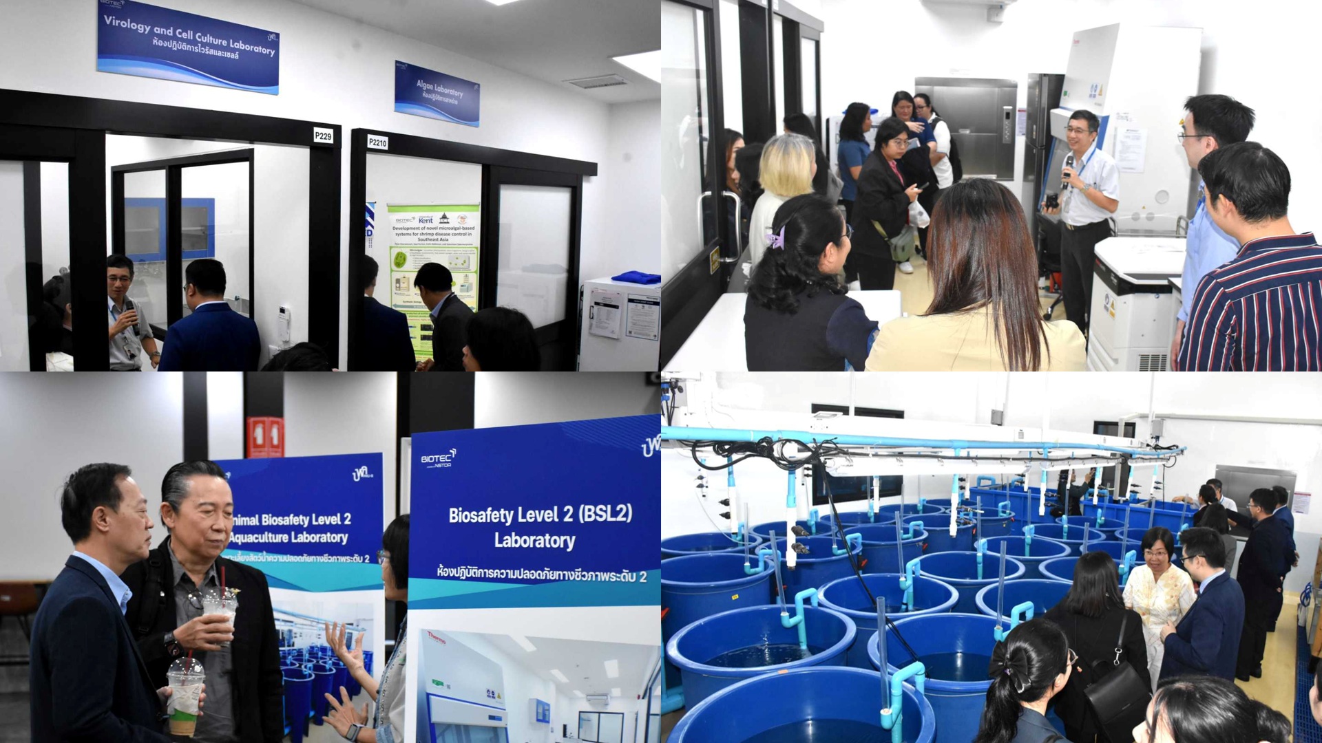 ภาพคณะผู้บริหาร บพค. นักวิจัยหน่วยงานภาครัฐและเอกชนเยี่ยมชมห้องปฏิบัติการสัตว์น้ำขั้นสูง BSL2 ในวันเปิดตัวห้องปฏิบัติการฯ