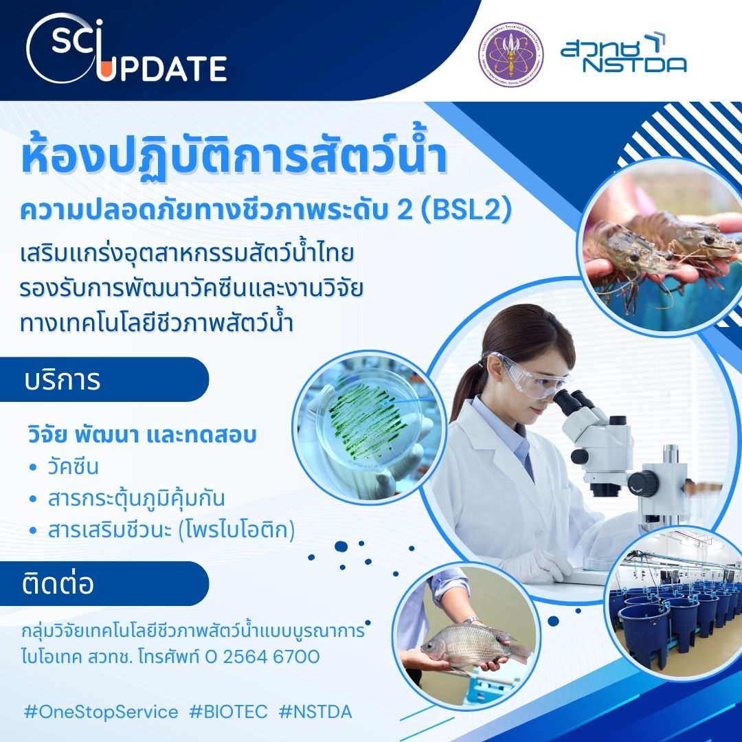 แบนเนอร์ประกอบบทความเรื่อง ไบโอเทค สวทช.จัดตั้ง “ห้องปฏิบัติการสัตว์น้ำขั้นสูง BSL2” เสริมแกร่งอุตสาหกรรมสัตว์น้ำไทยครบวงจร