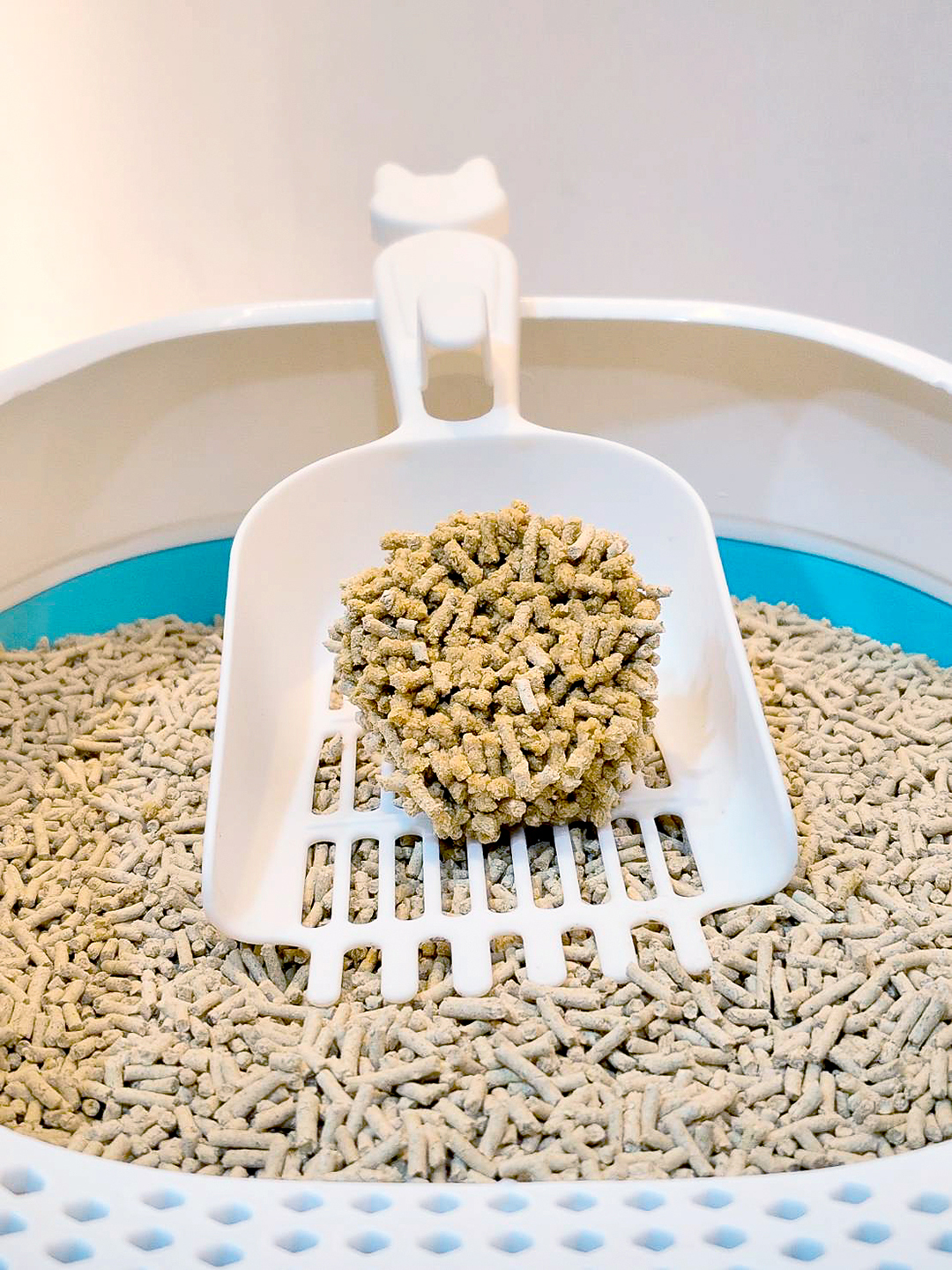 ผลิตภัณฑ์ทรายแมวหลังโดนน้ำบนที่ตักทรายแมว ผลิตภัณฑ์มีลักษณะจับตัวเป็นก้อนกลม ตักออกได้ง่าย