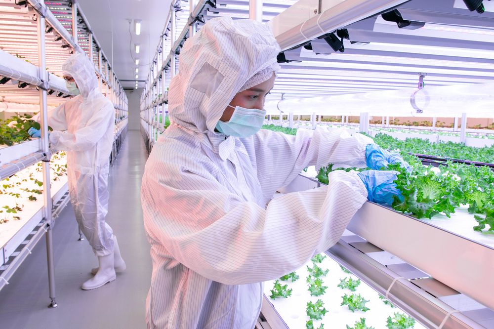 ภาพ Plant Factory ไบโอเทค สวทช.