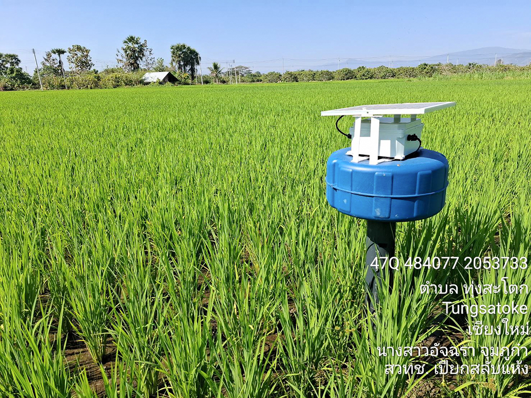 ภาพบรรยากาศการติดตั้งอุปกรณ์ในนาเพื่อการวิจัย