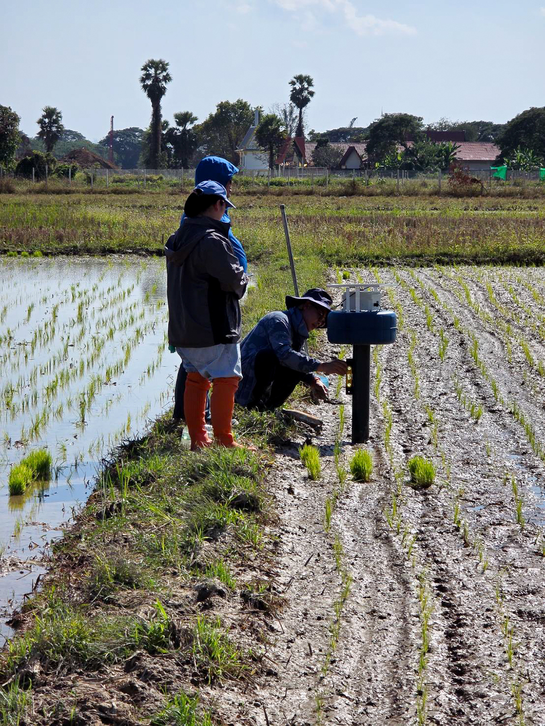 ภาพบรรยากาศการติดตั้งอุปกรณ์ในนาเพื่อการวิจัย