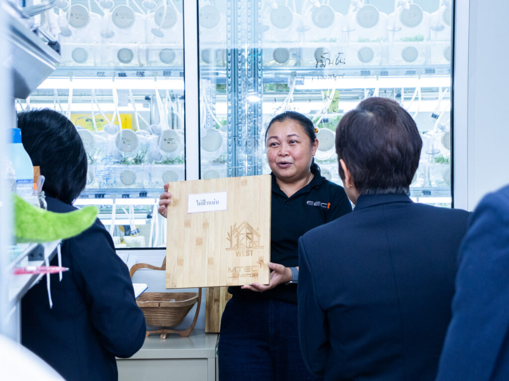 ภาพ: นักวิจัย สวทช. นำเสนอผลงานวิจัยและการดำเนินงานของห้องปฏิบัติการเพาะเลี้ยงเนื้อเยื่อขนาดใหญ่ให้แก่คณะศึกษาดูงาน