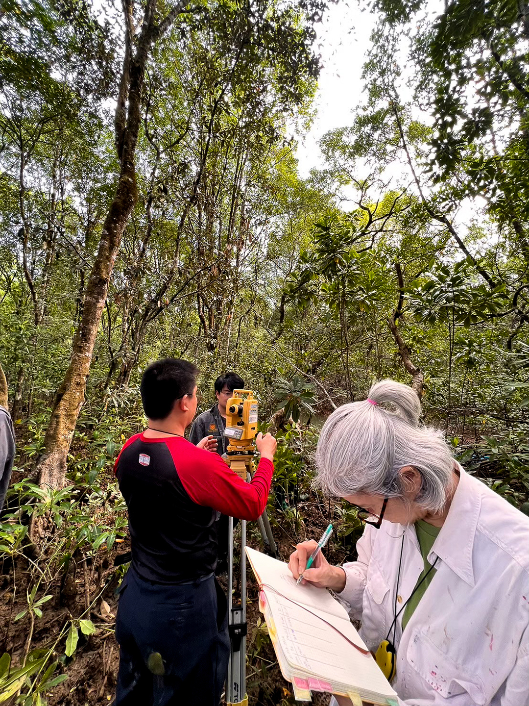 ทีมวิจัยสำรวจป่าใช้เครื่องมือสำรวจภาคสนามและบันทึกข้อมูล Tree Census เพื่อวิเคราะห์โครงสร้างป่า ความหลากหลายทางชีวภาพ (biodiversity) และสนับสนุนการประเมินคาร์บอนเครดิต