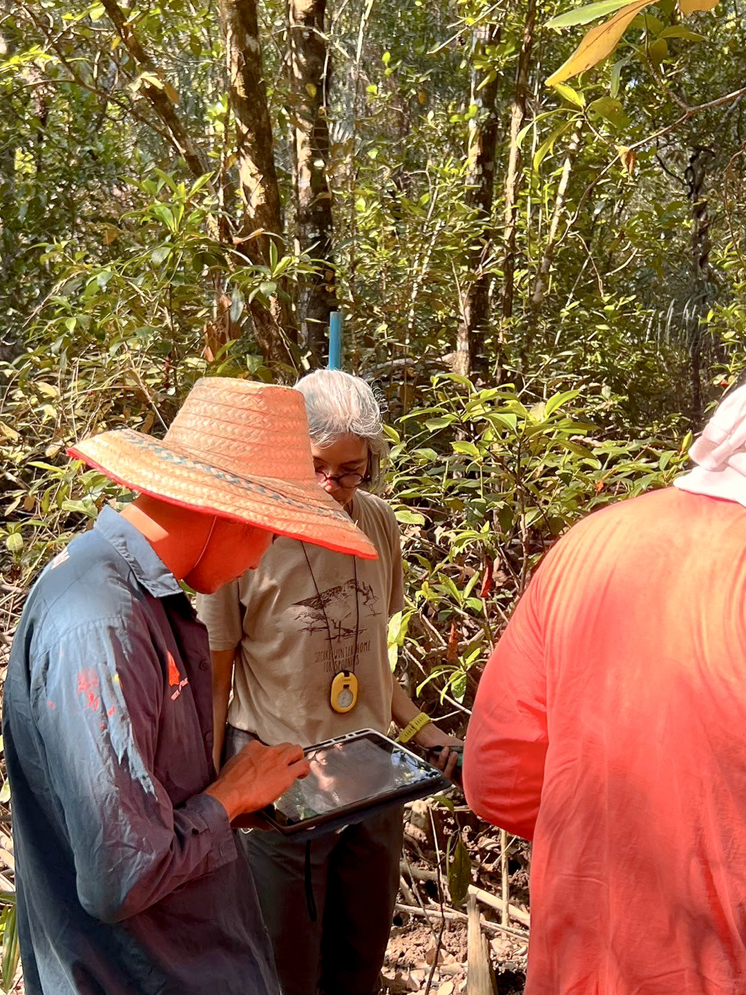 ทีมวิจัยเก็บข้อมูลภาคสนามในป่าชายเลนโดยใช้แท็บเล็ตบันทึกข้อมูล Tree Census เพื่อวิเคราะห์ความหลากหลายทางชีวภาพ (biodiversity) โครงสร้างป่า และประเมินคาร์บอนเครดิต